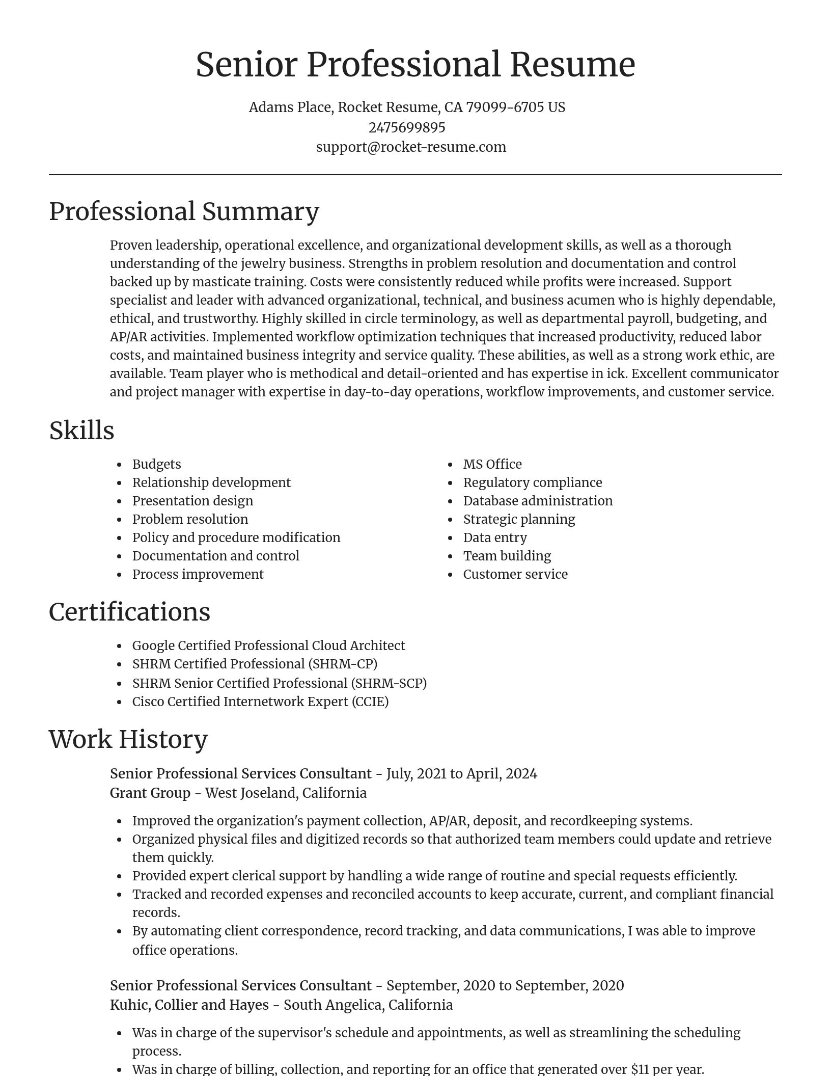 Focal Point resume template