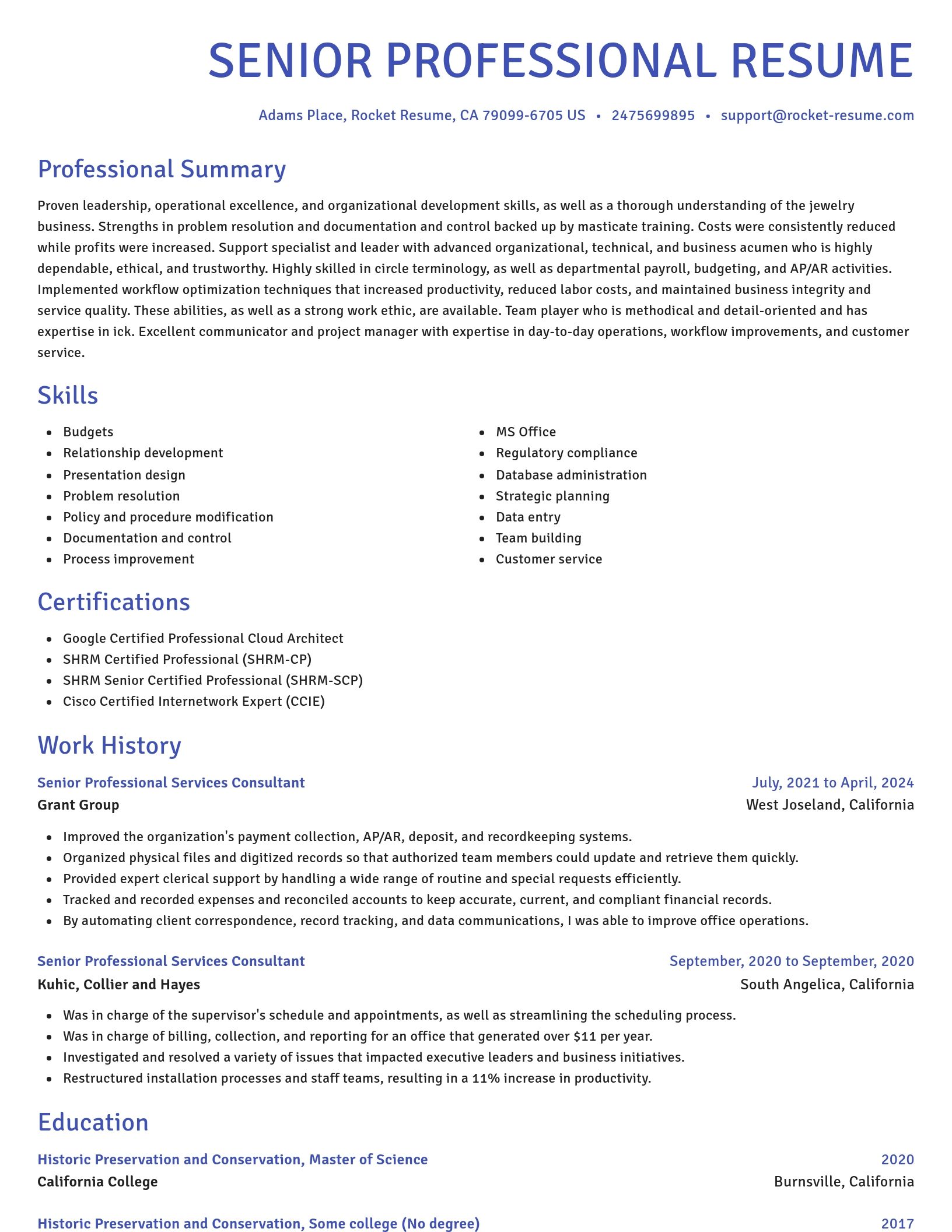 Novel resume template