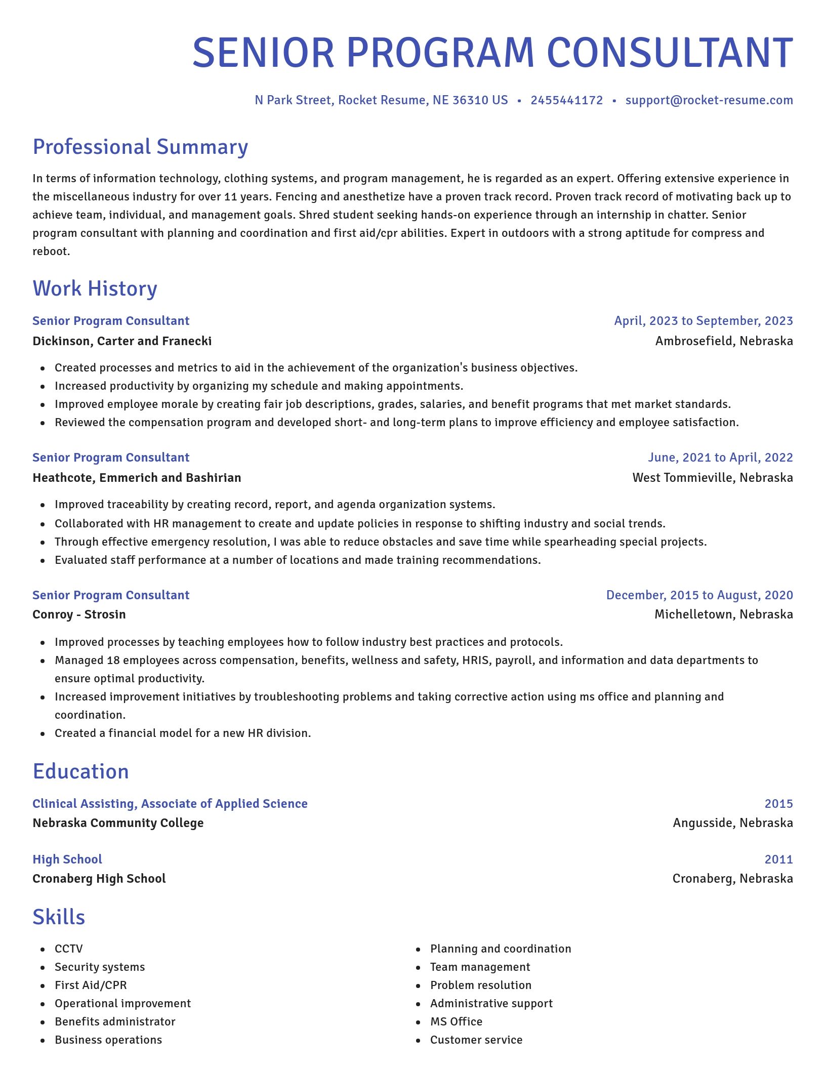 Novel resume template