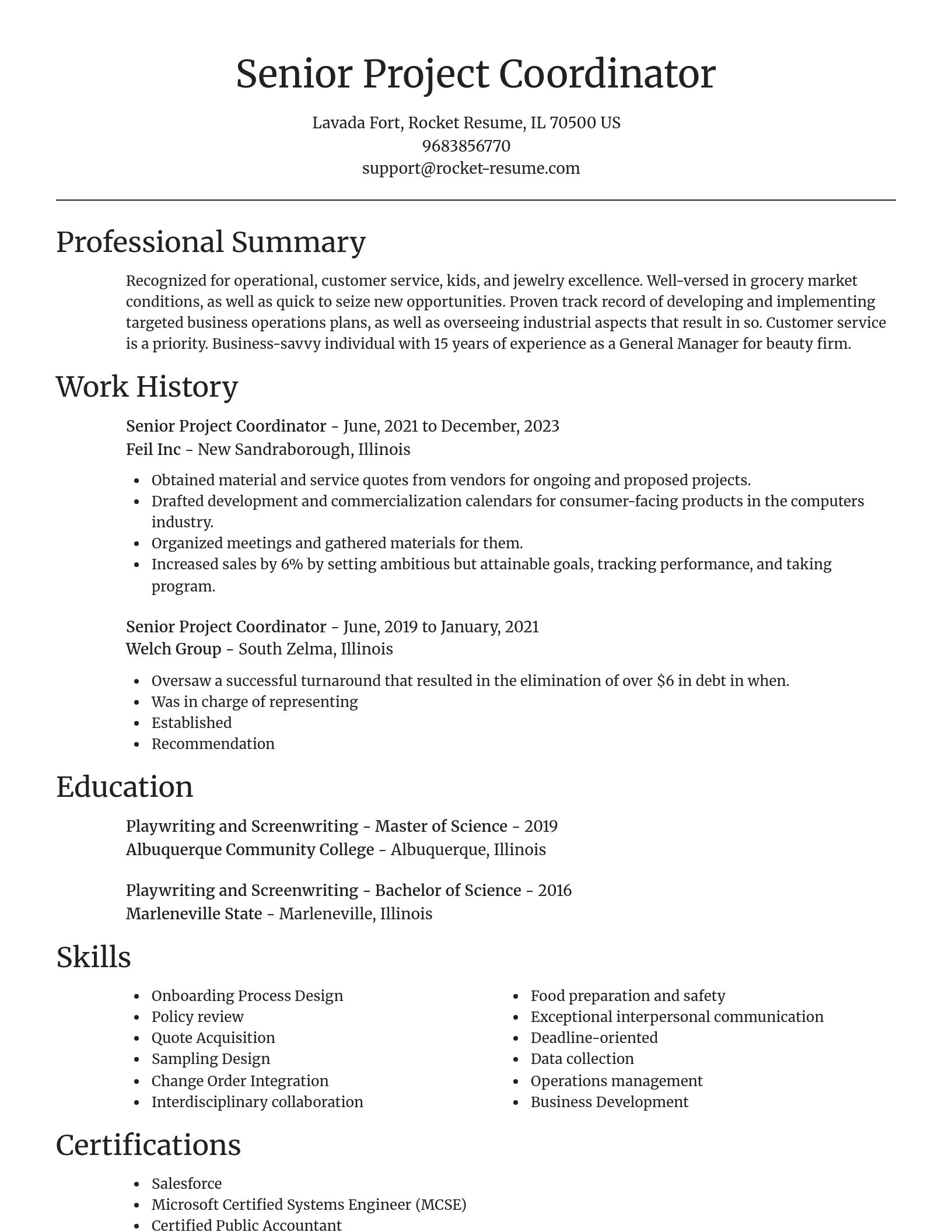 Focal Point resume template