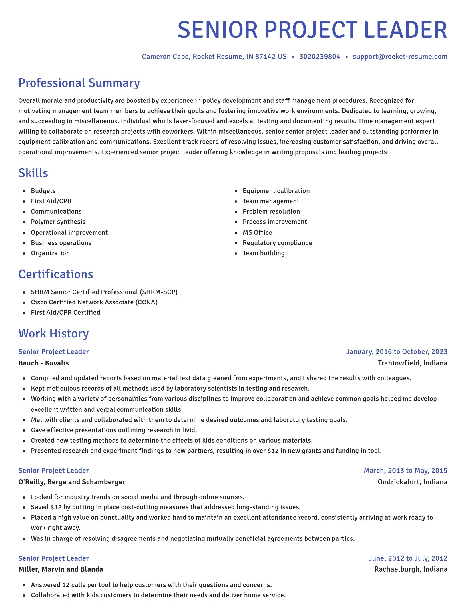 Novel resume template