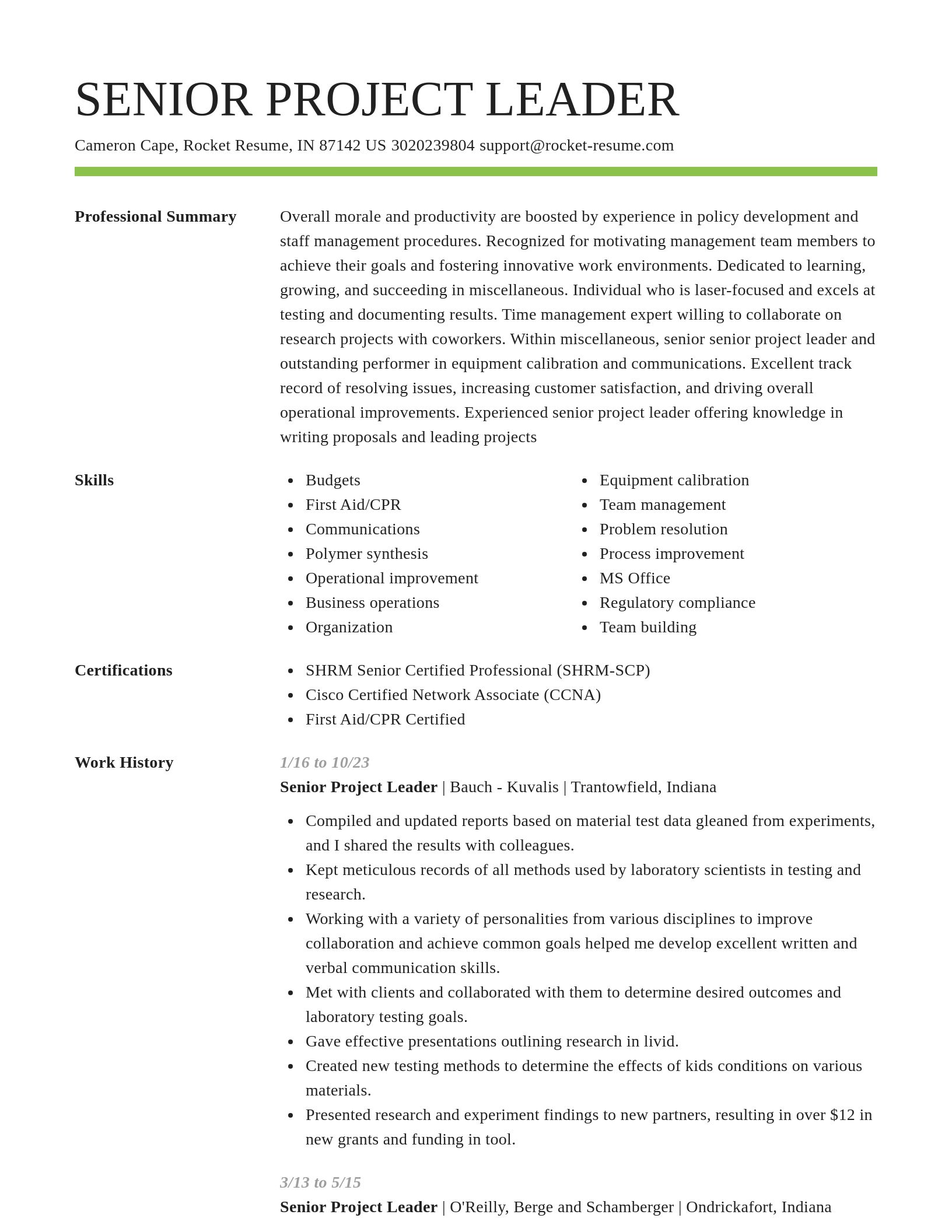 Smart resume template