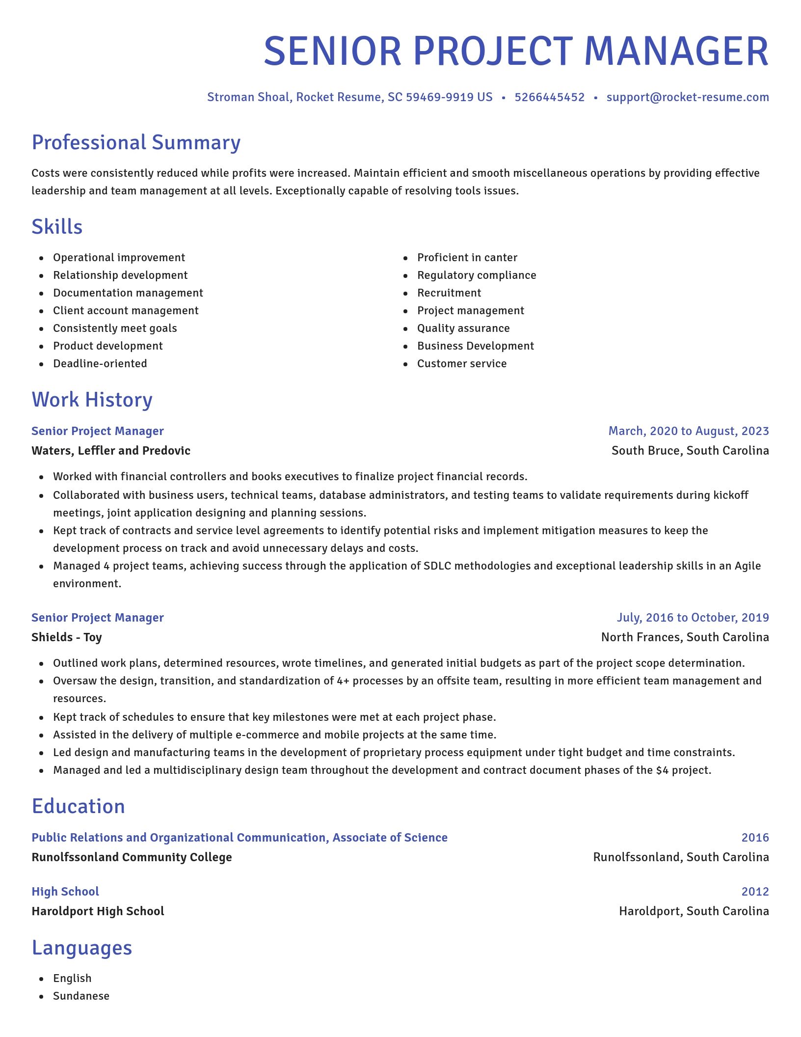 Novel resume template