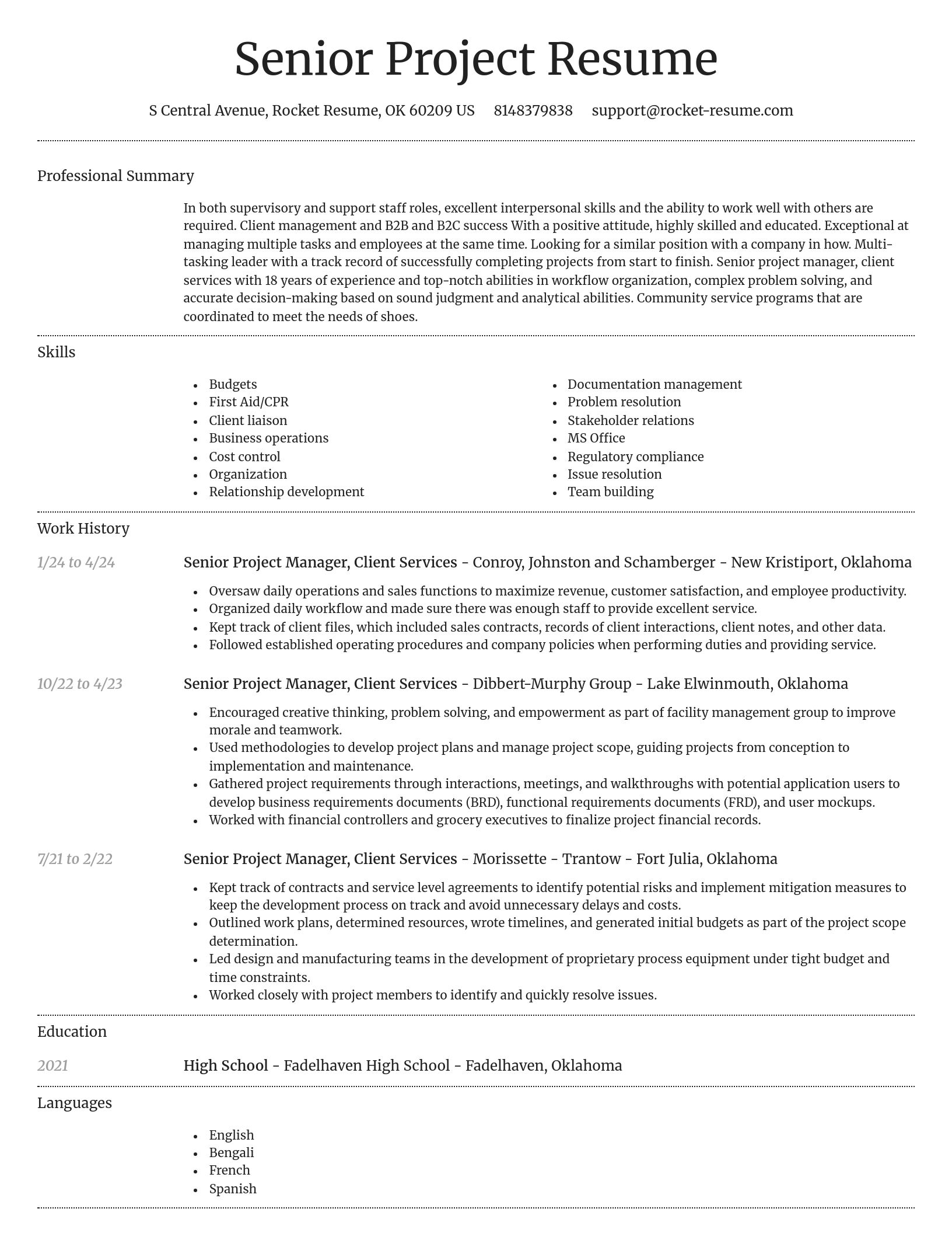 Dignified resume template