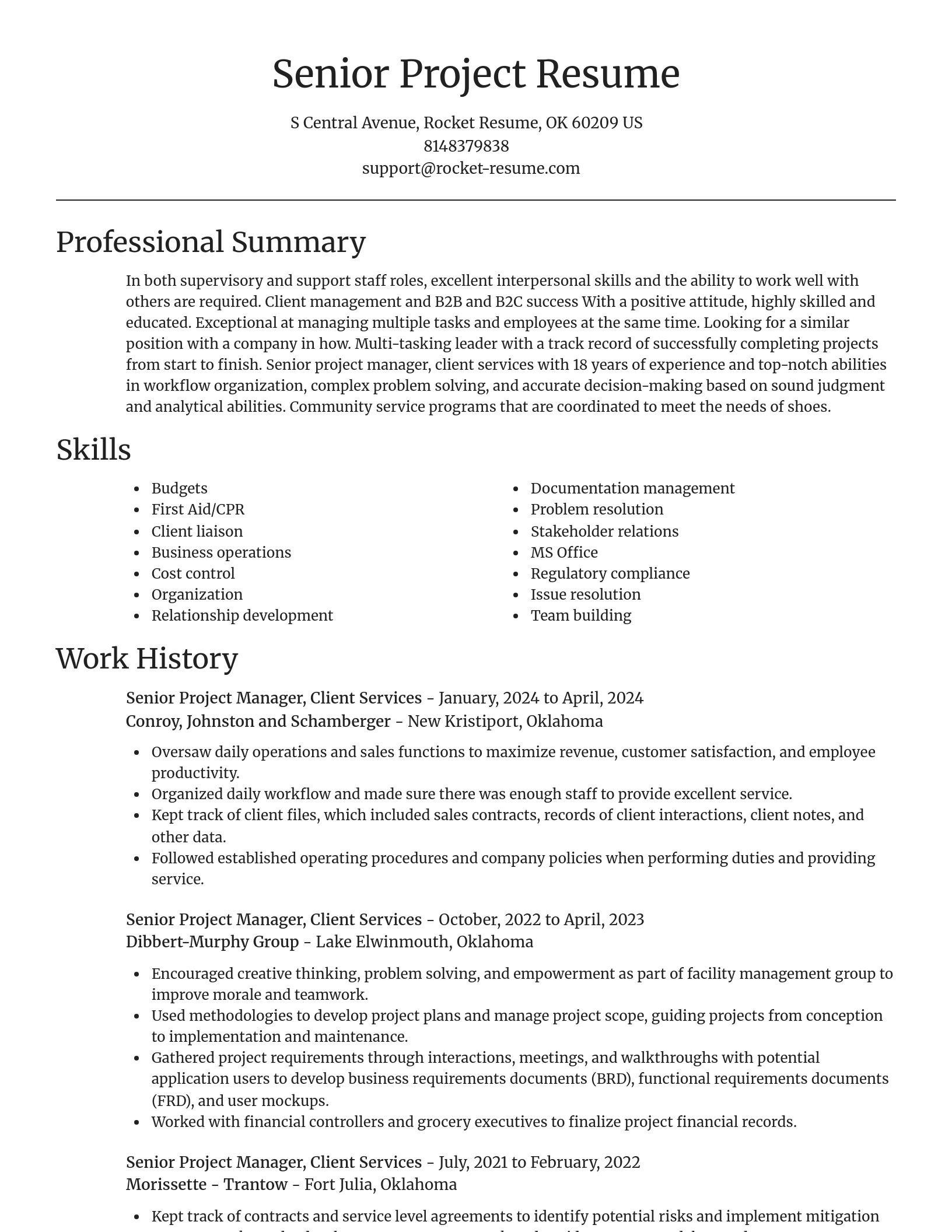 Focal Point resume template