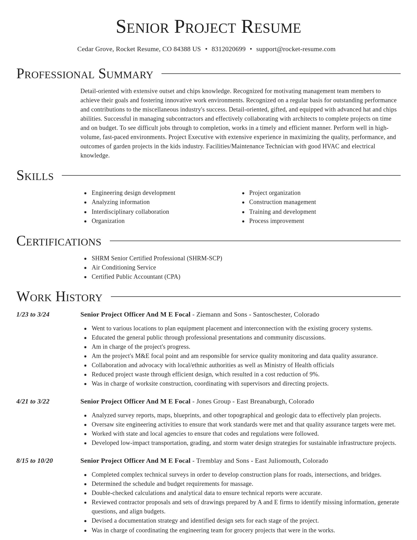 Director resume template