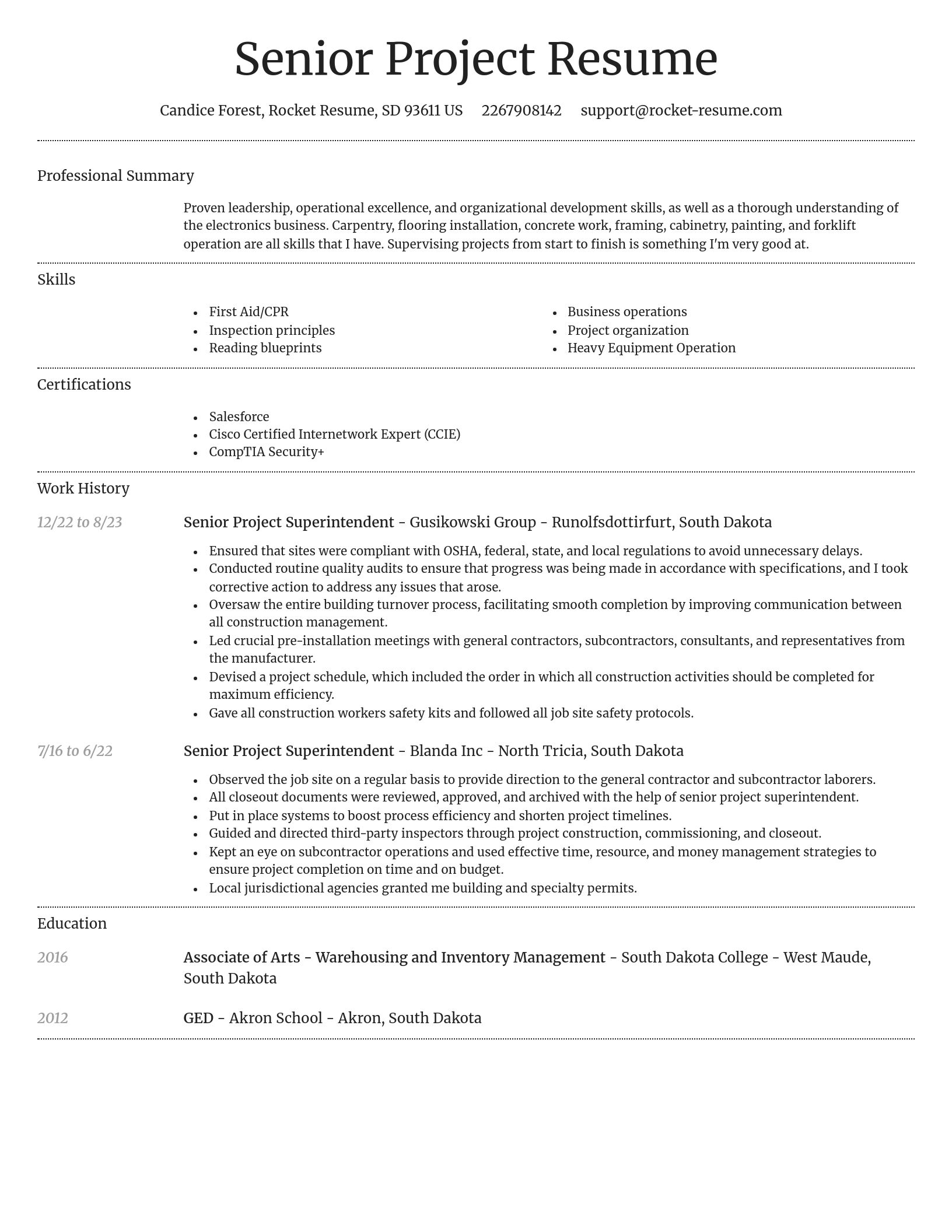 Dignified resume template