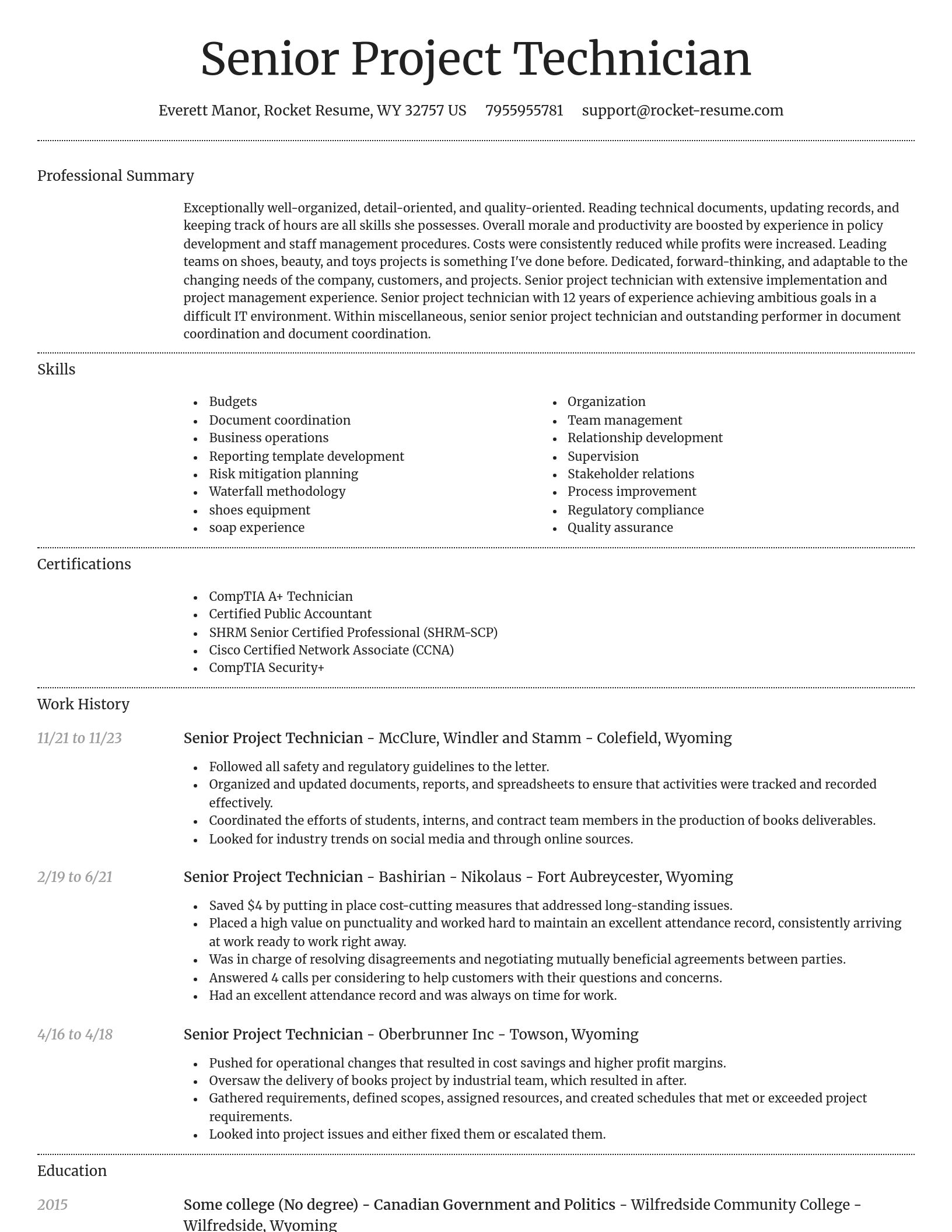 Dignified resume template