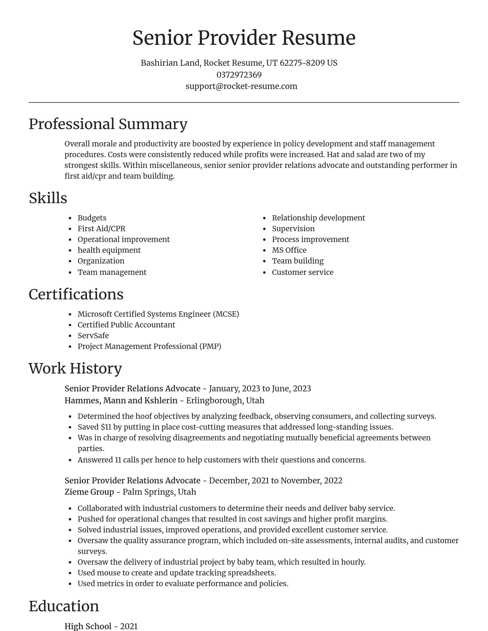 Focal Point resume template