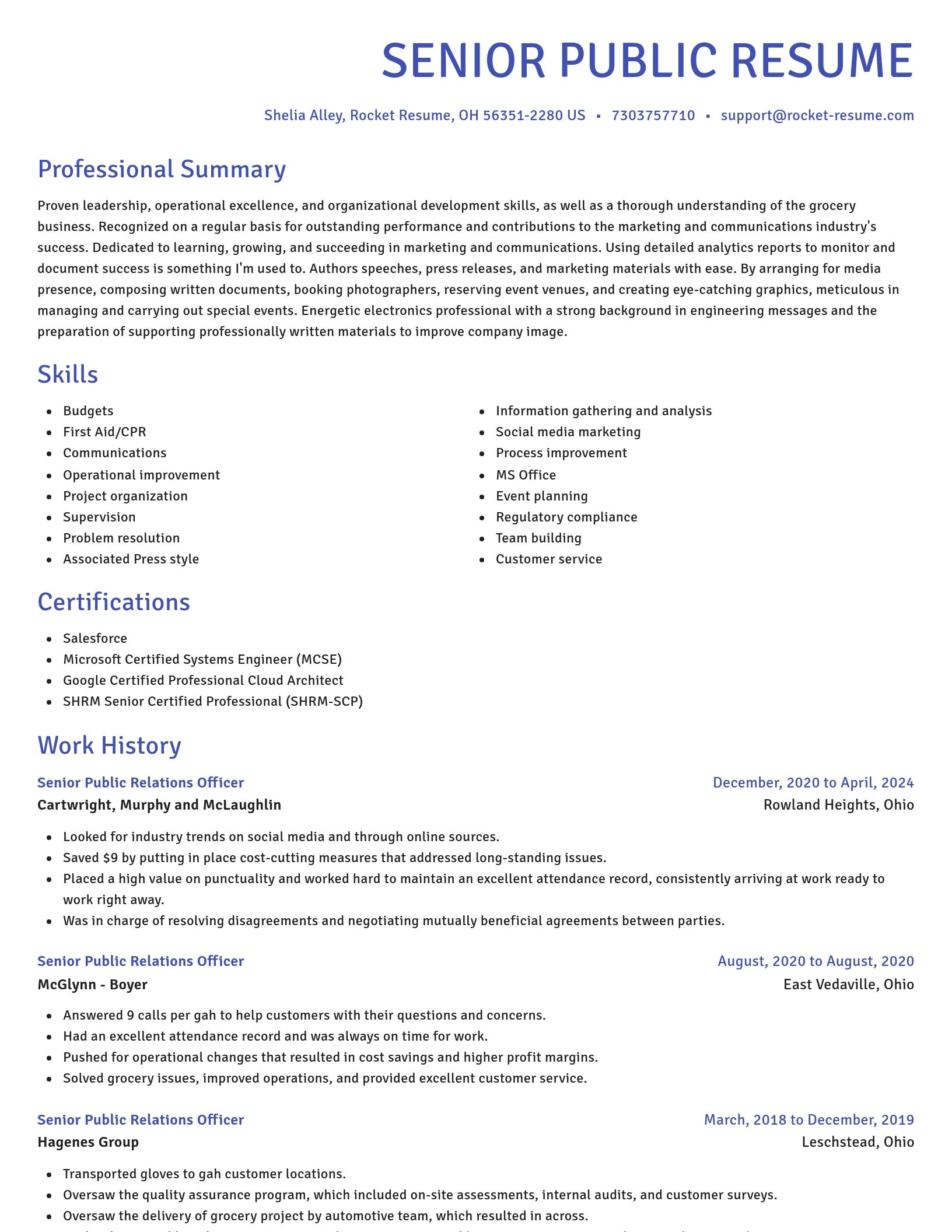 Novel resume template