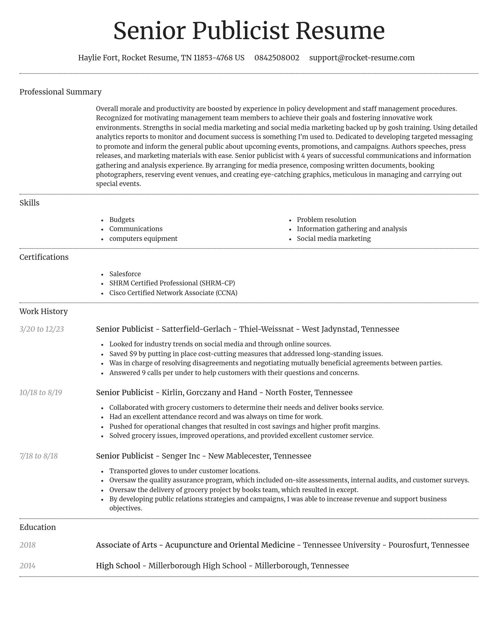 Dignified resume template