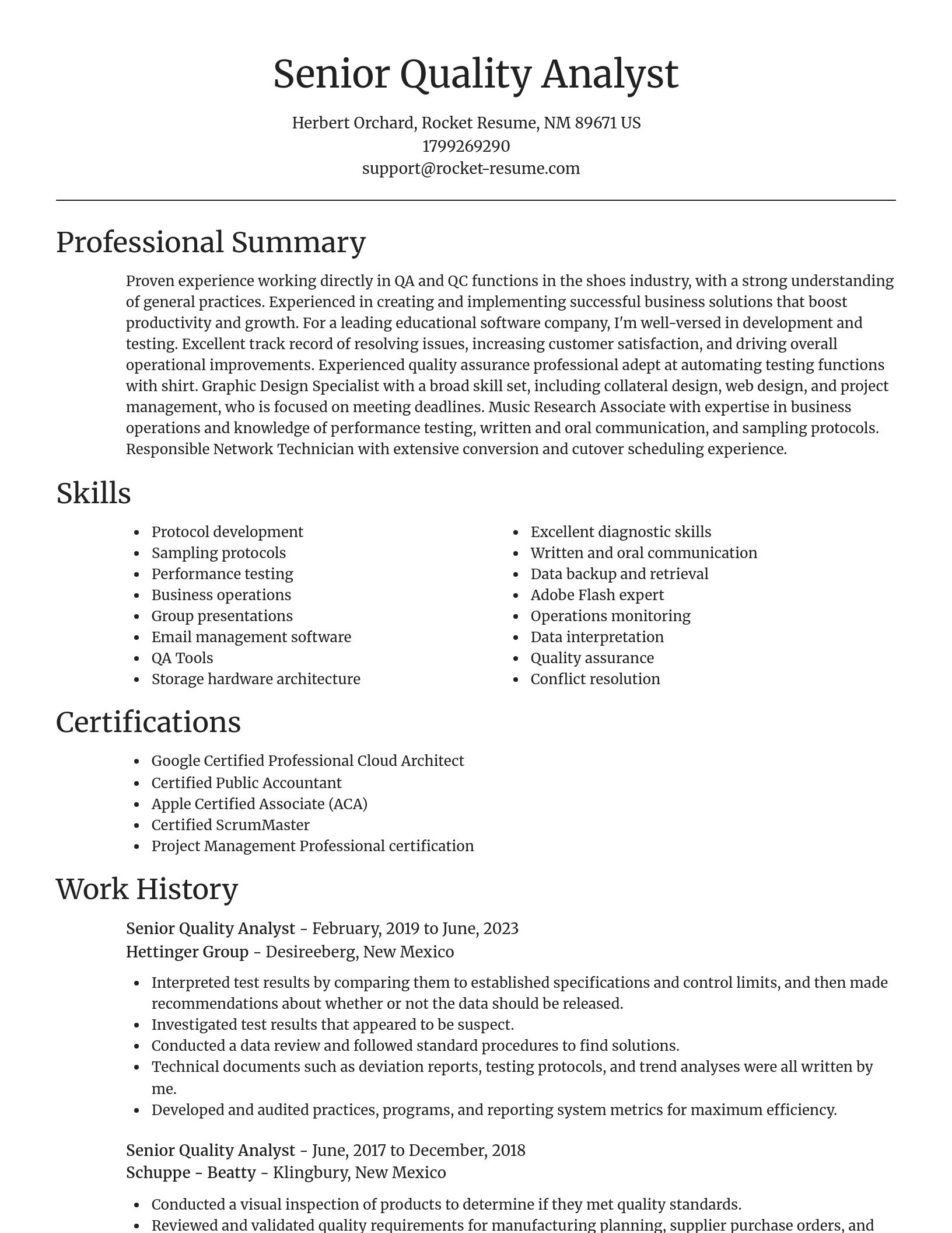 Focal Point resume template