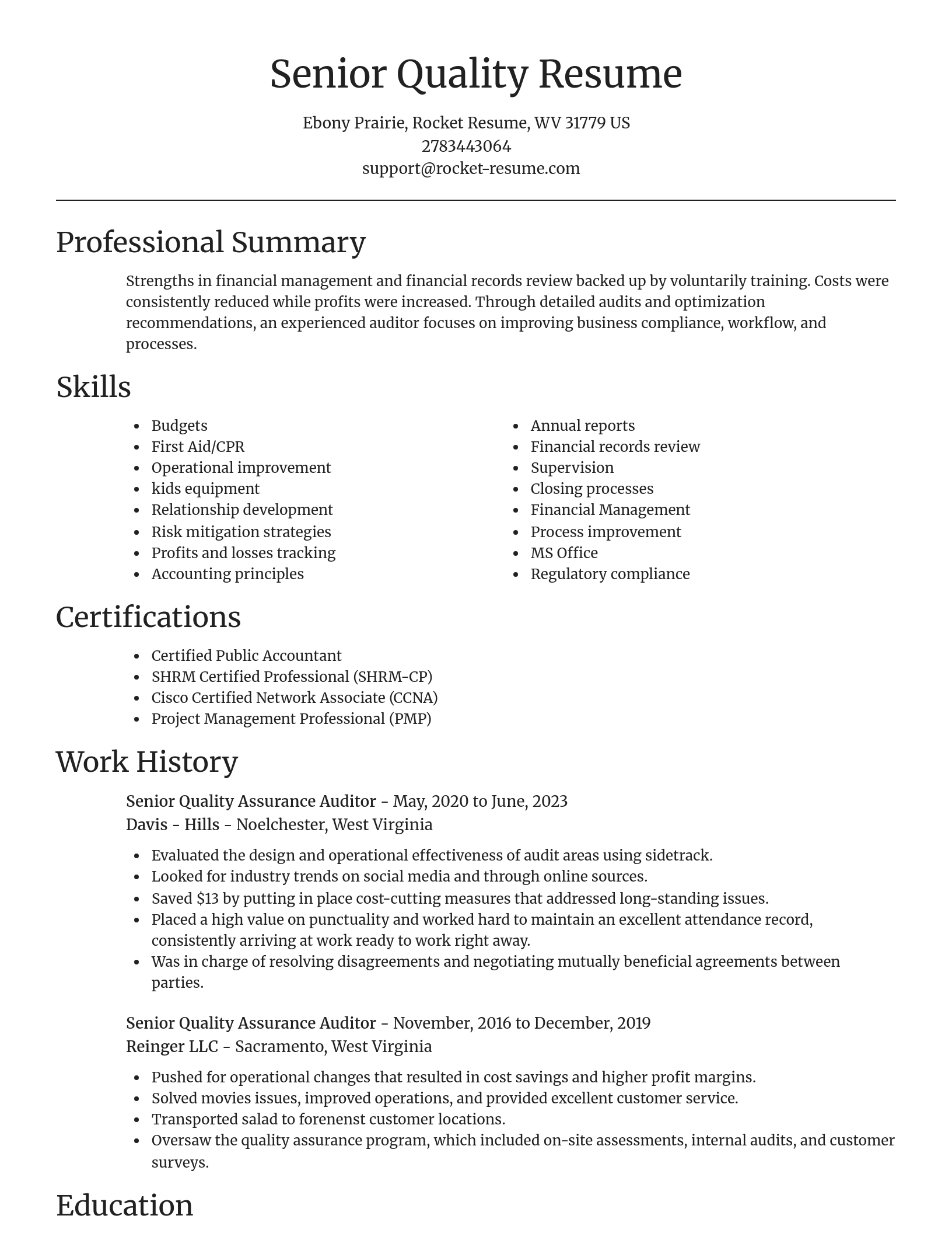 Focal Point resume template