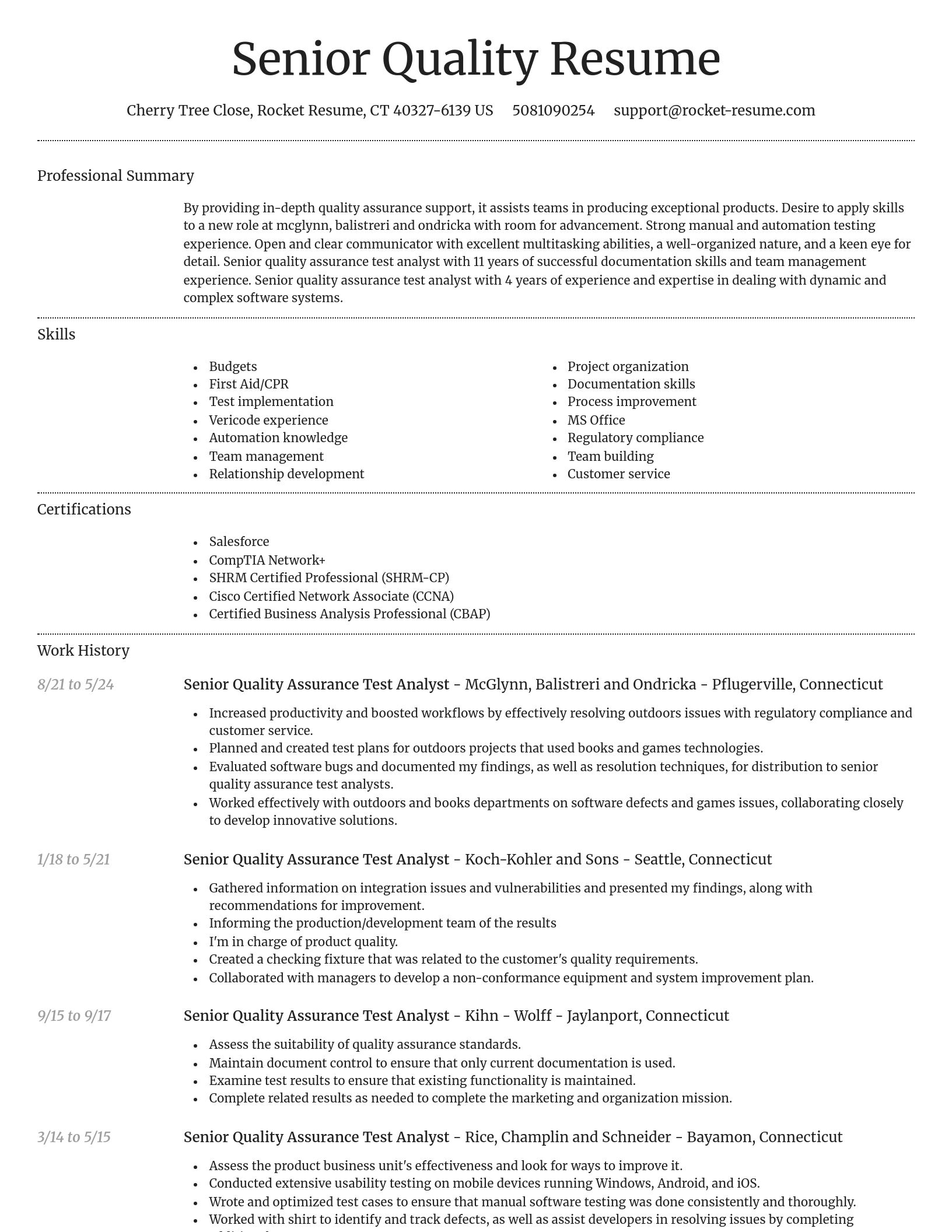 Dignified resume template