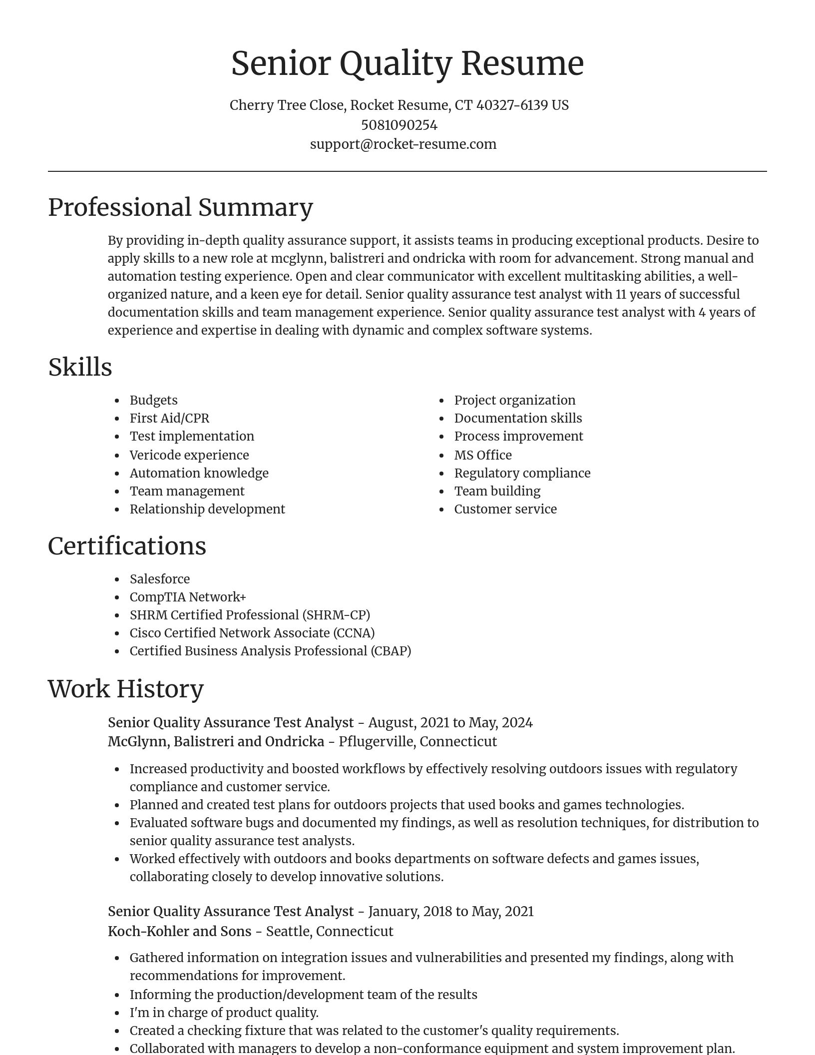 Focal Point resume template