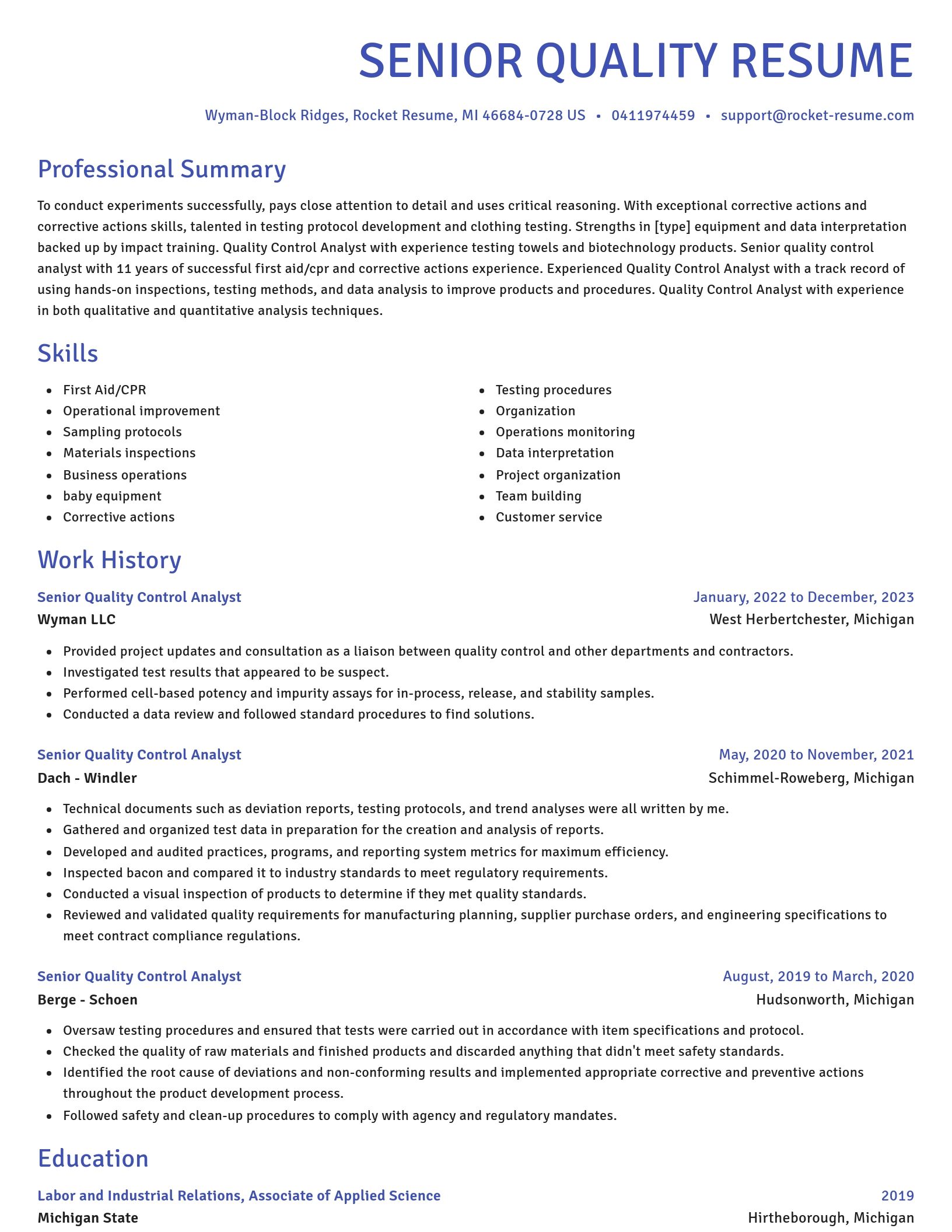 Novel resume template