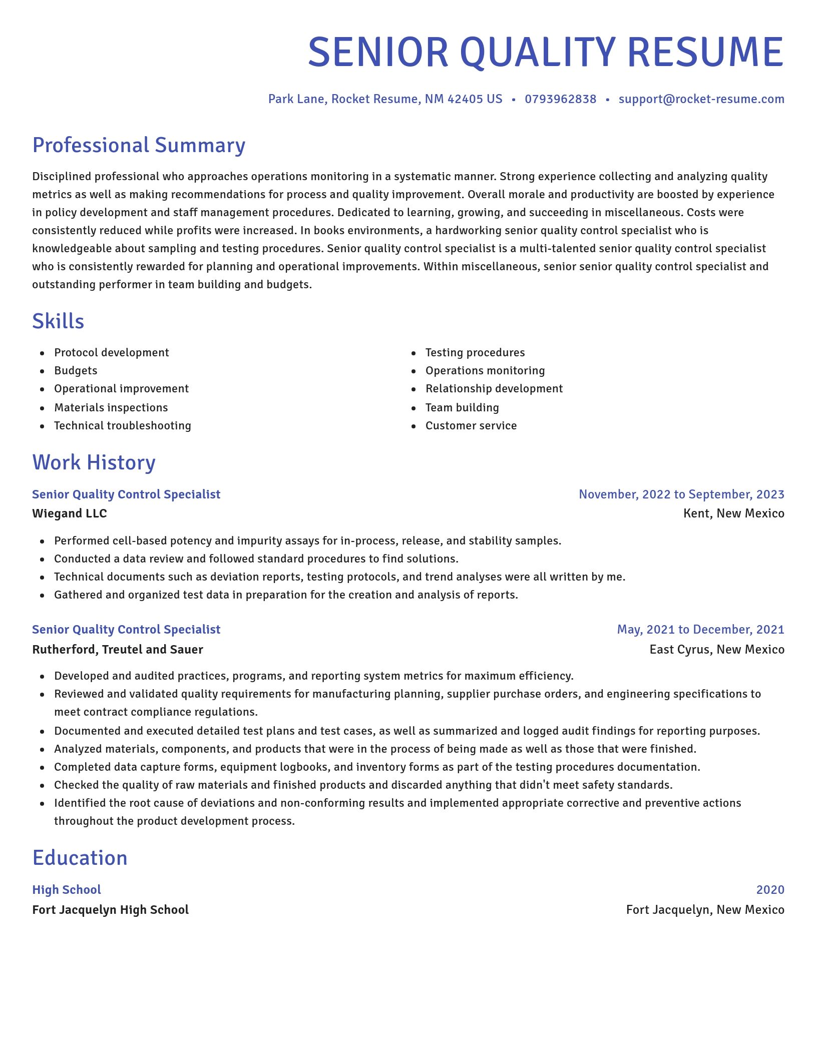Novel resume template