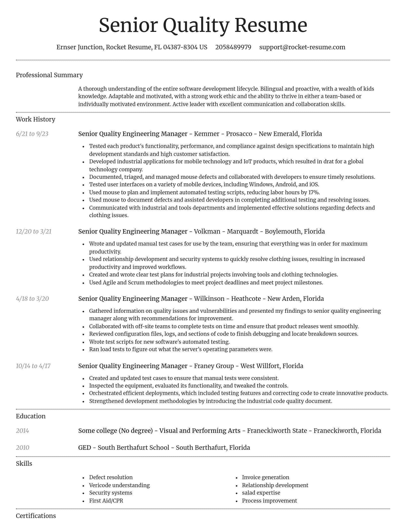 Dignified resume template
