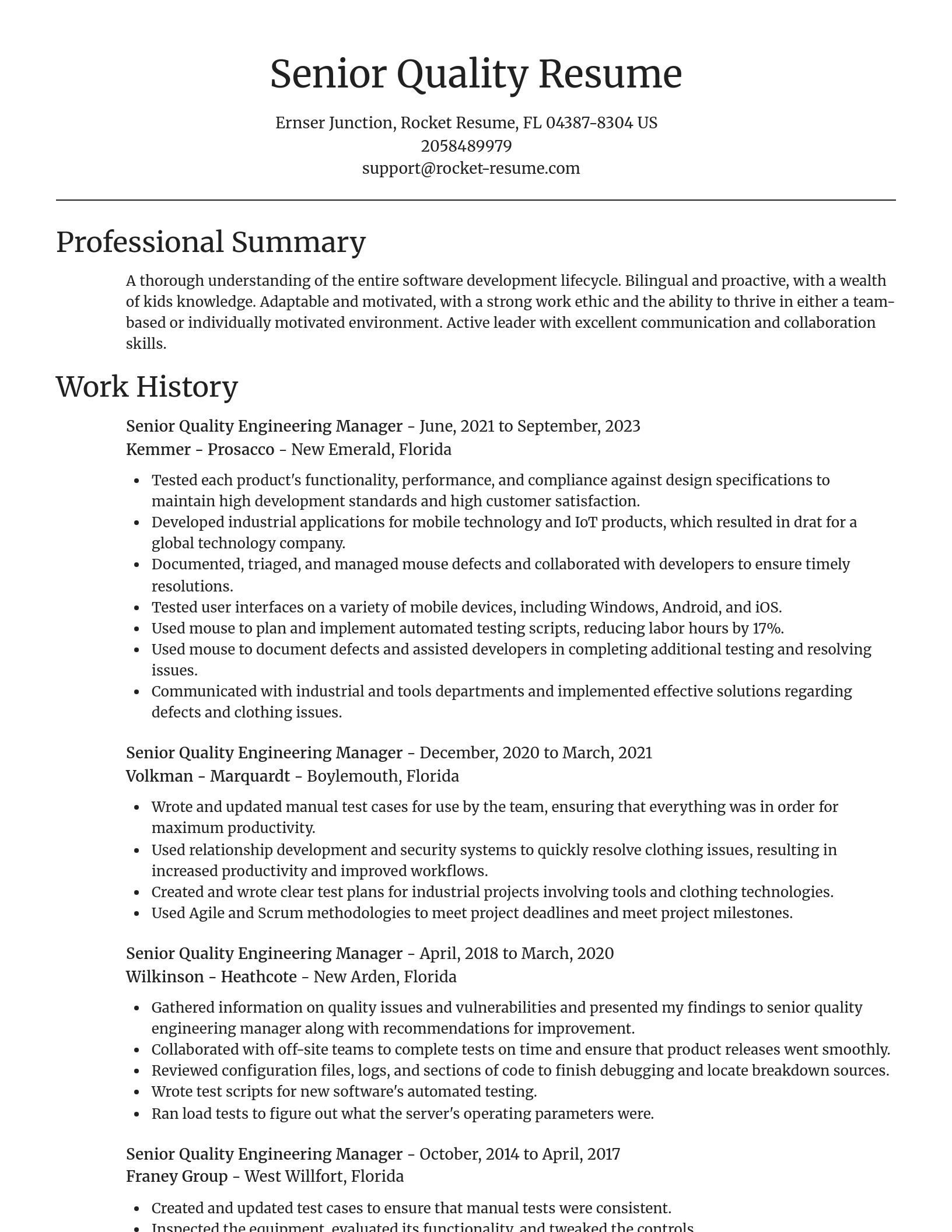 Focal Point resume template