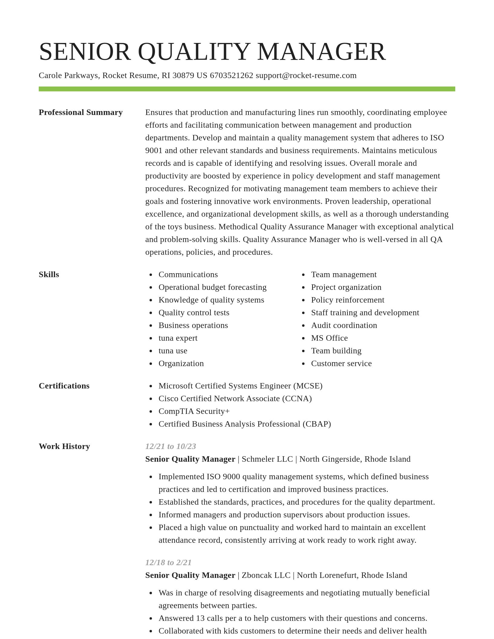 Smart resume template