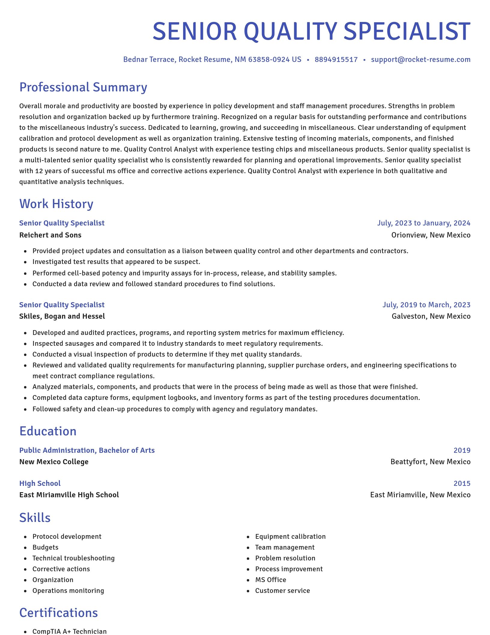 Novel resume template