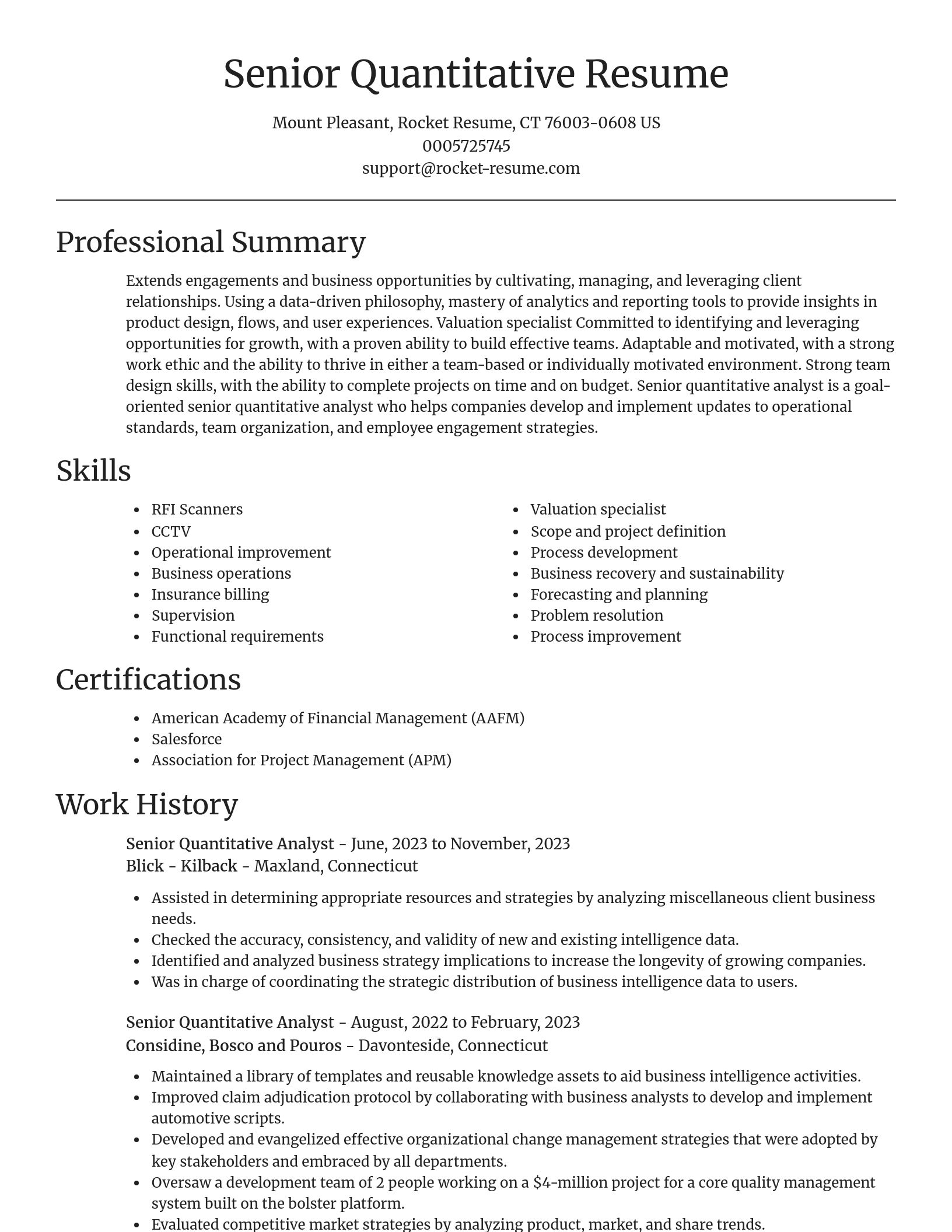 Focal Point resume template