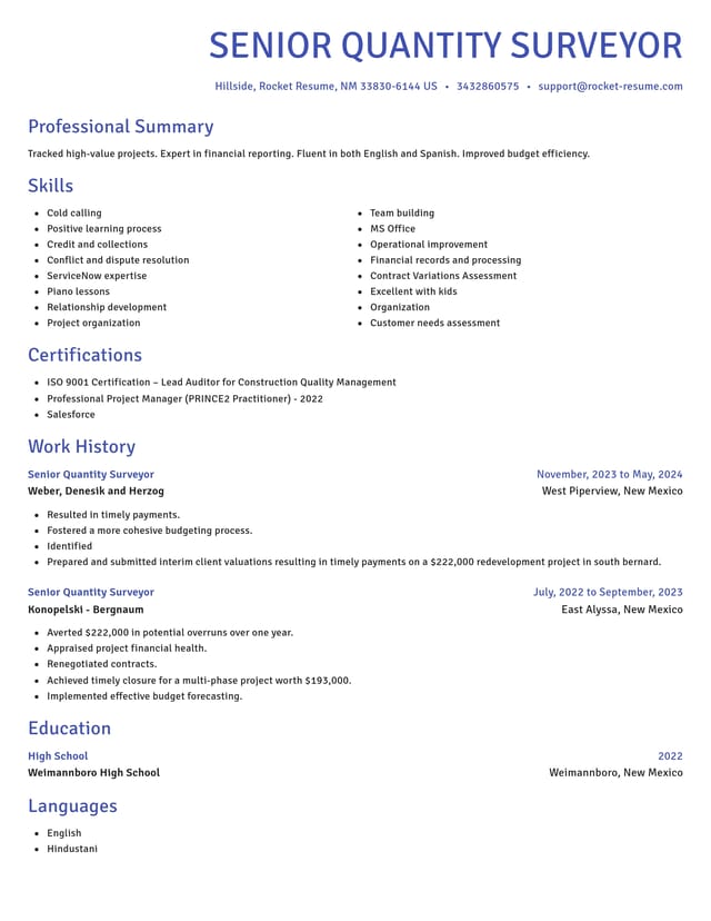 Novel resume template