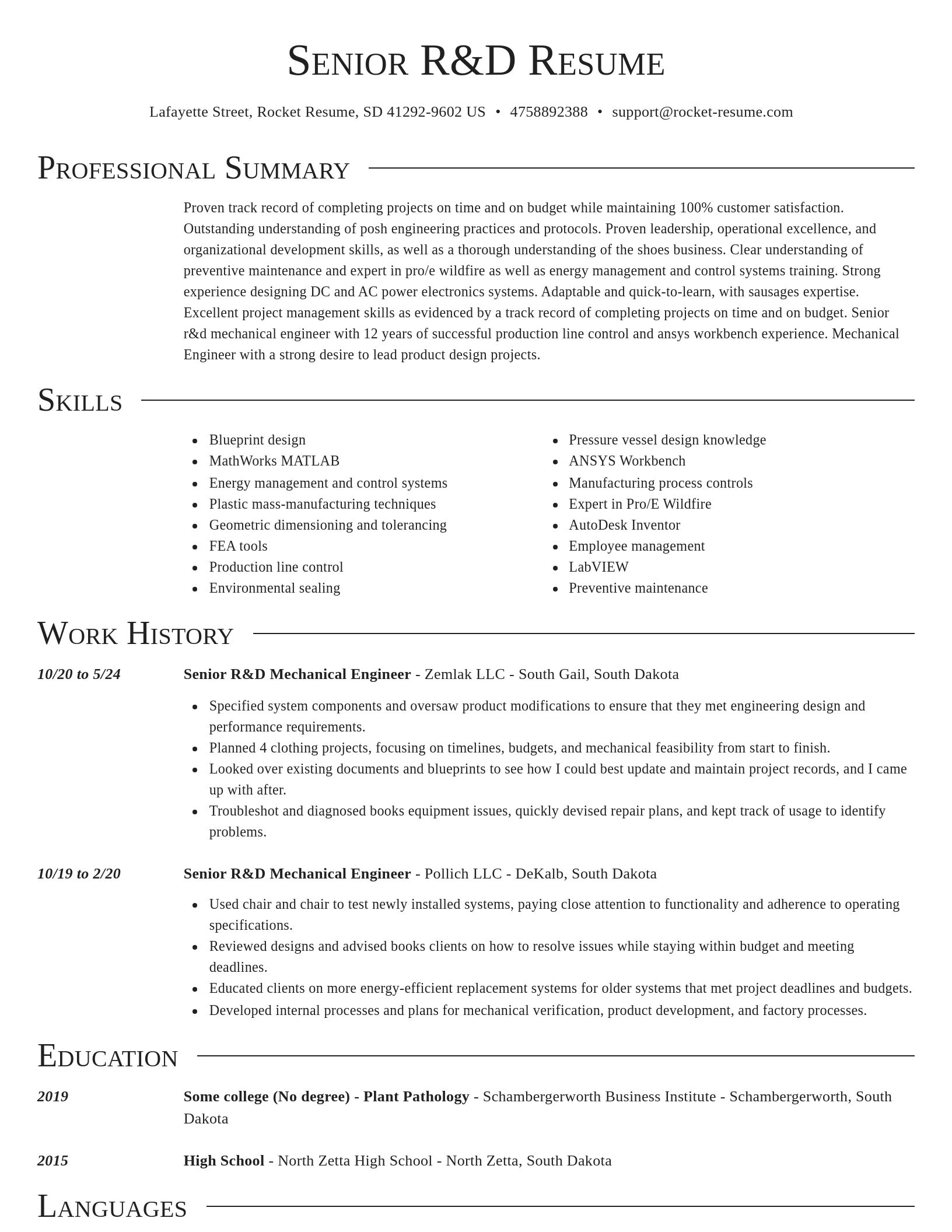 Director resume template