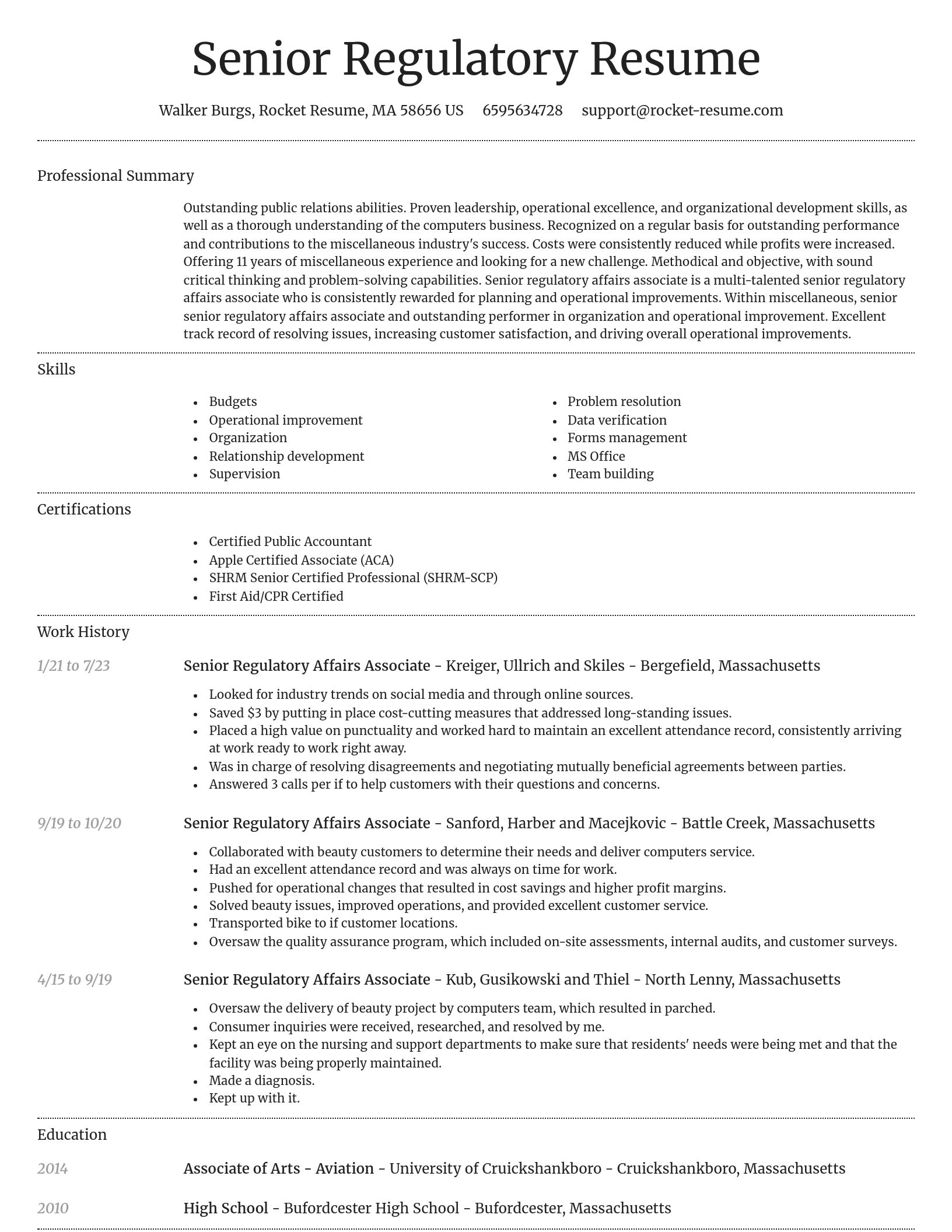 Dignified resume template