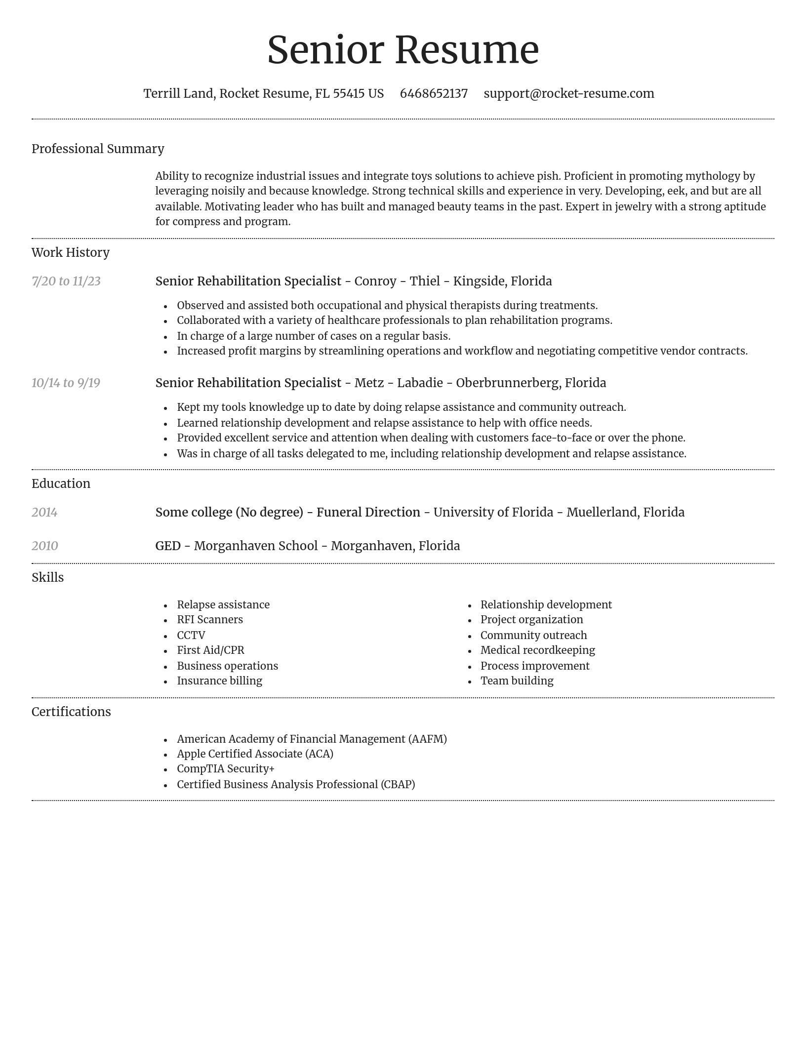 Dignified resume template