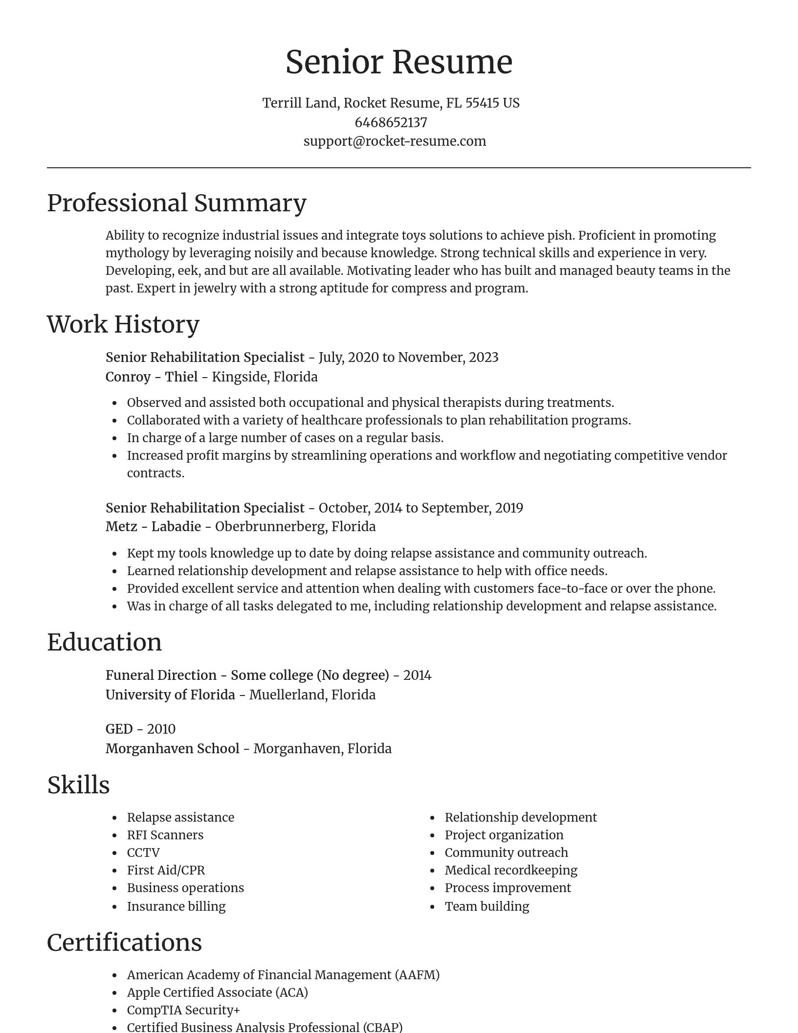 Focal Point resume template