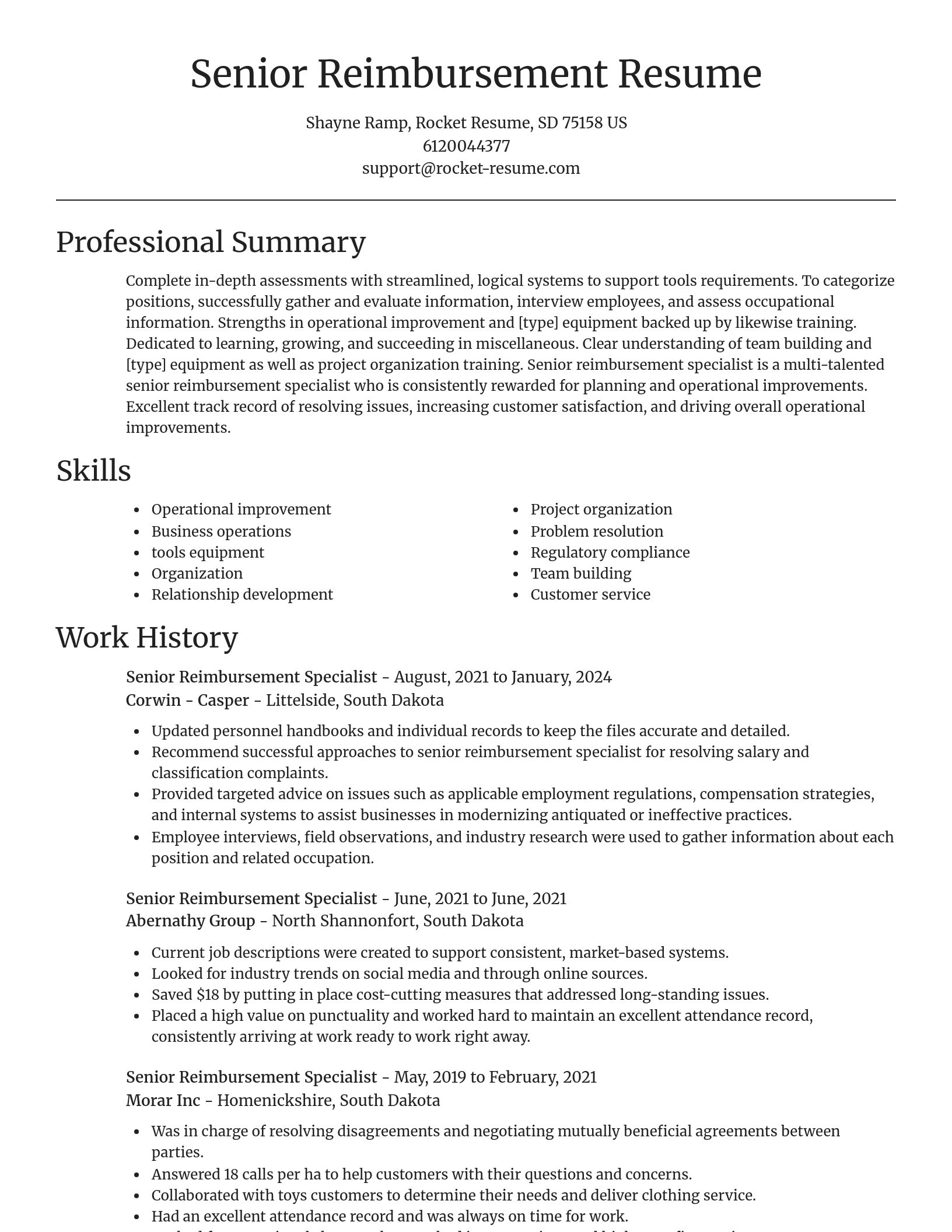 Focal Point resume template