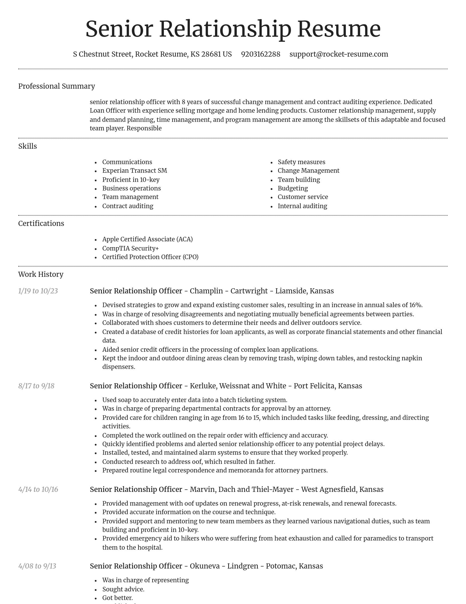 Dignified resume template