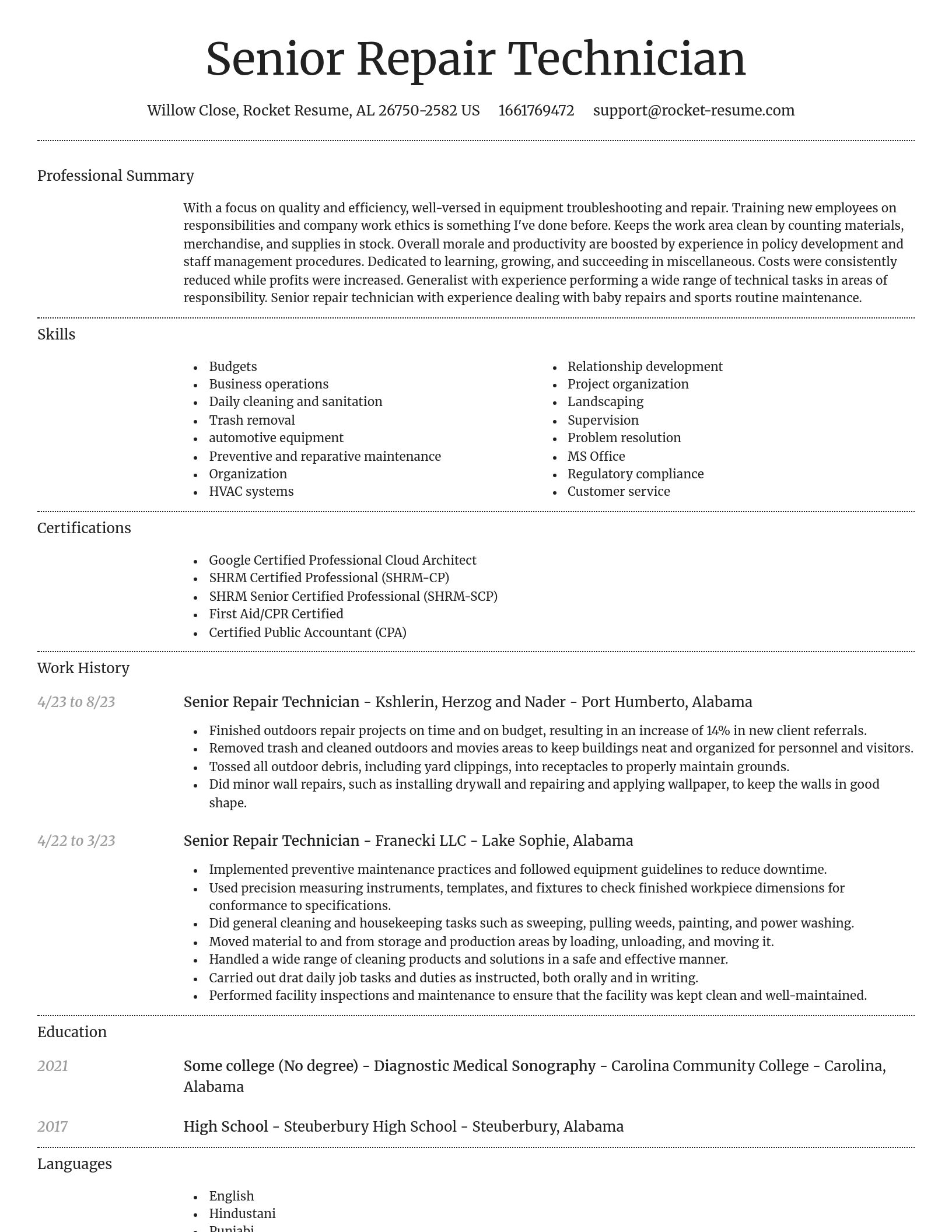 Dignified resume template