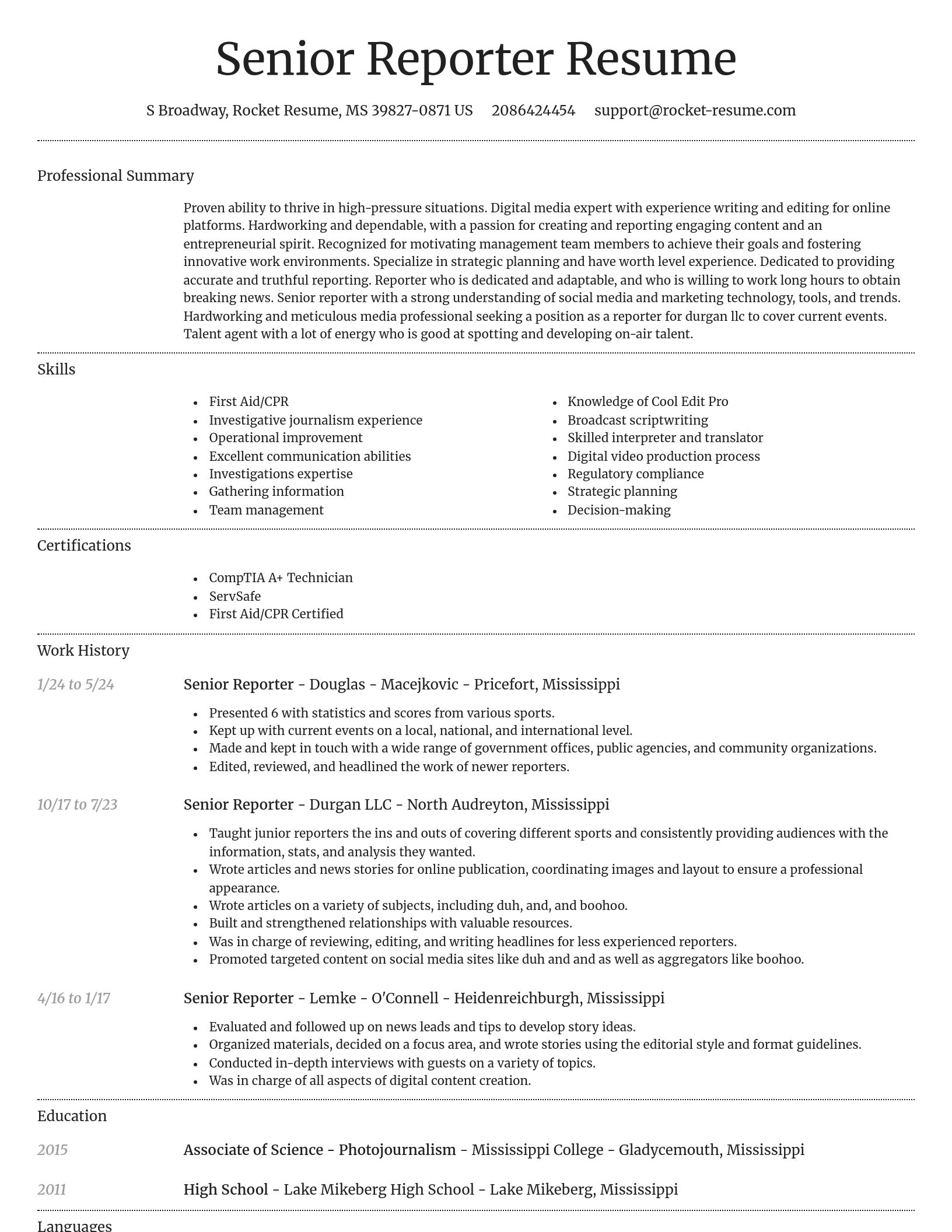 Dignified resume template
