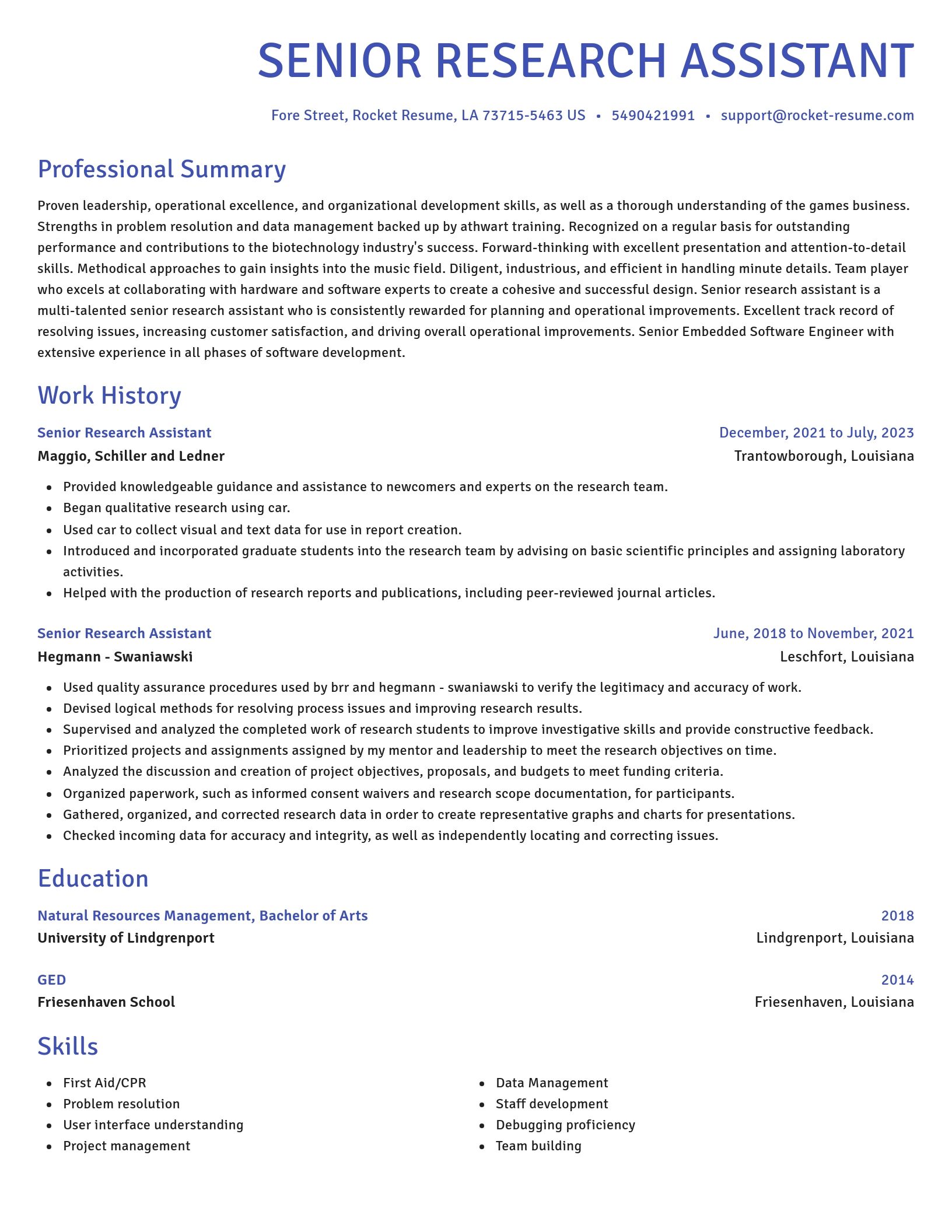 Novel resume template