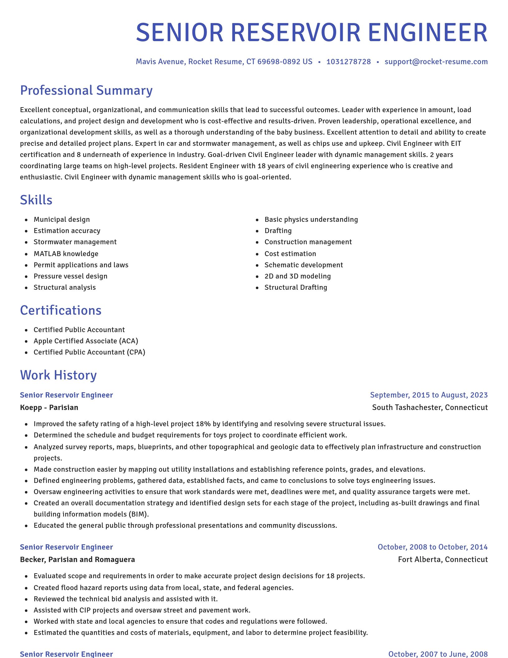 Novel resume template