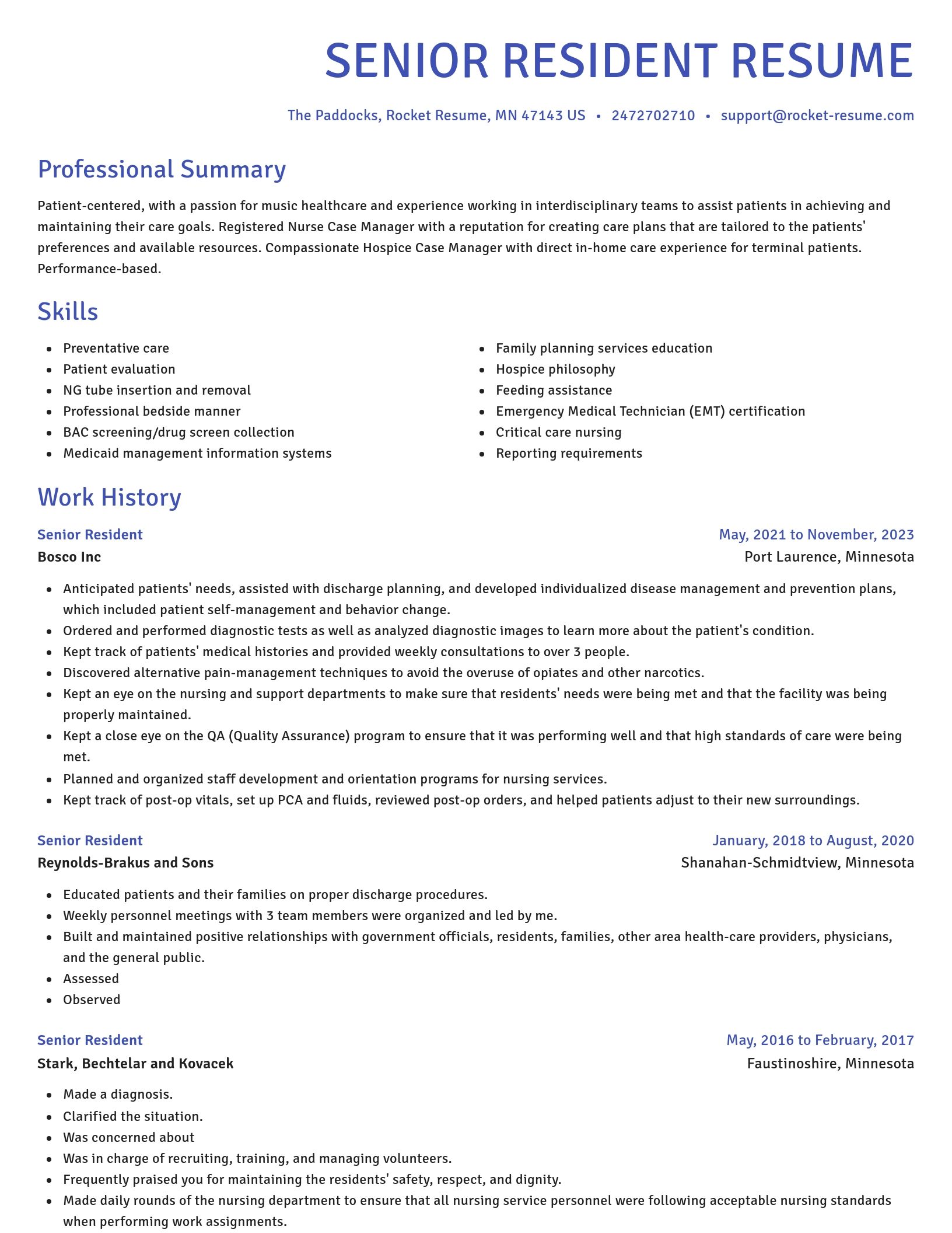Novel resume template