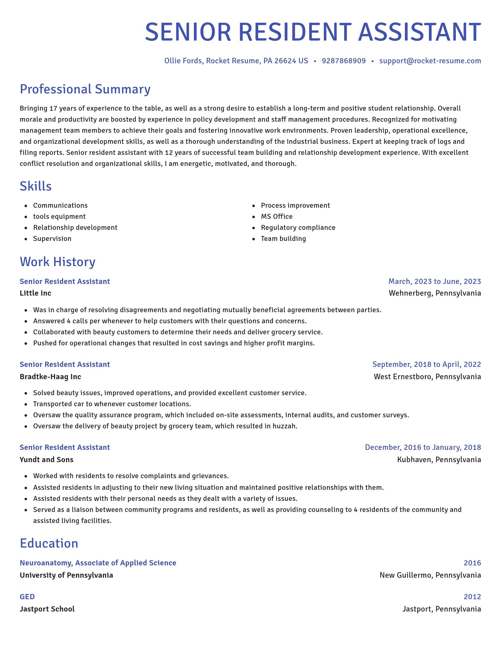 Novel resume template