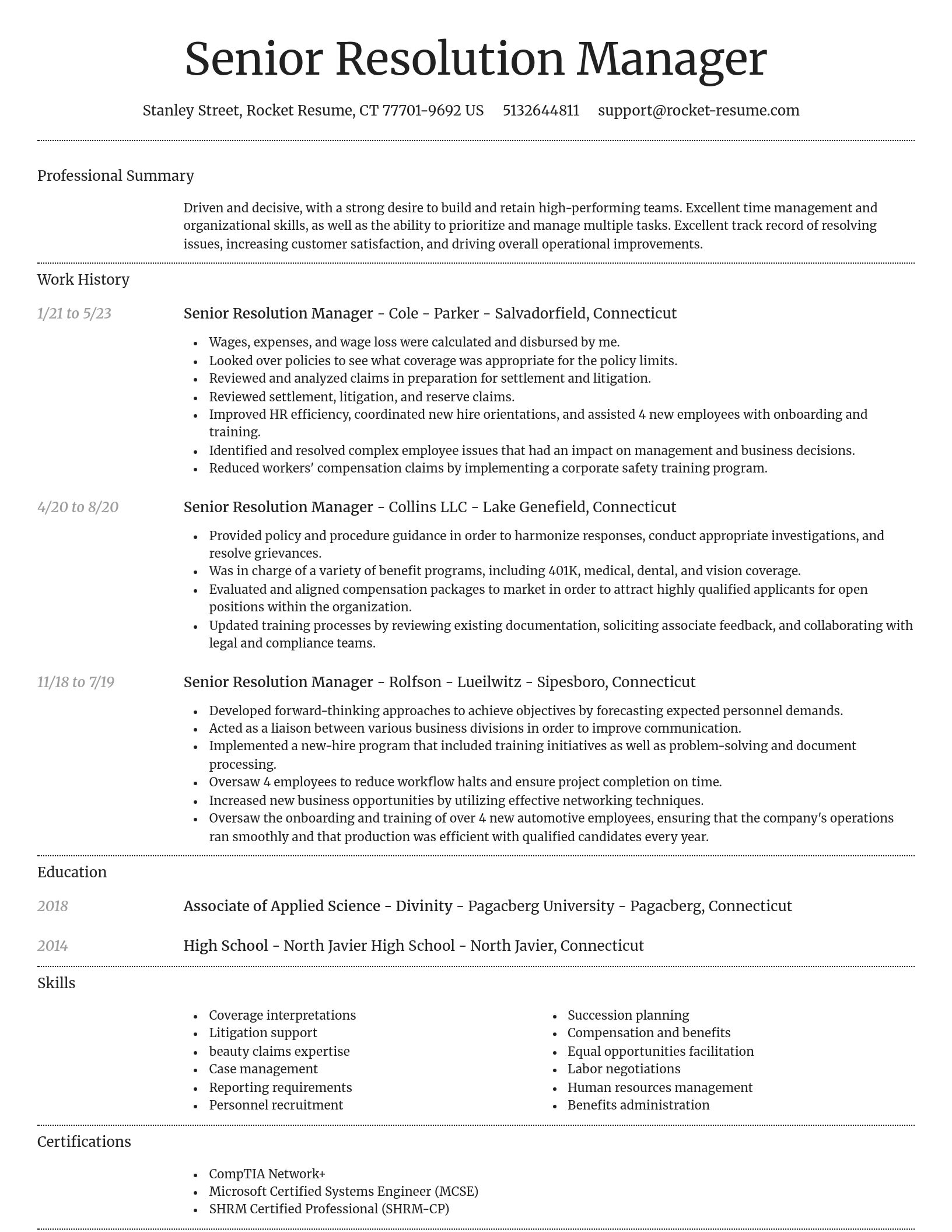 Dignified resume template