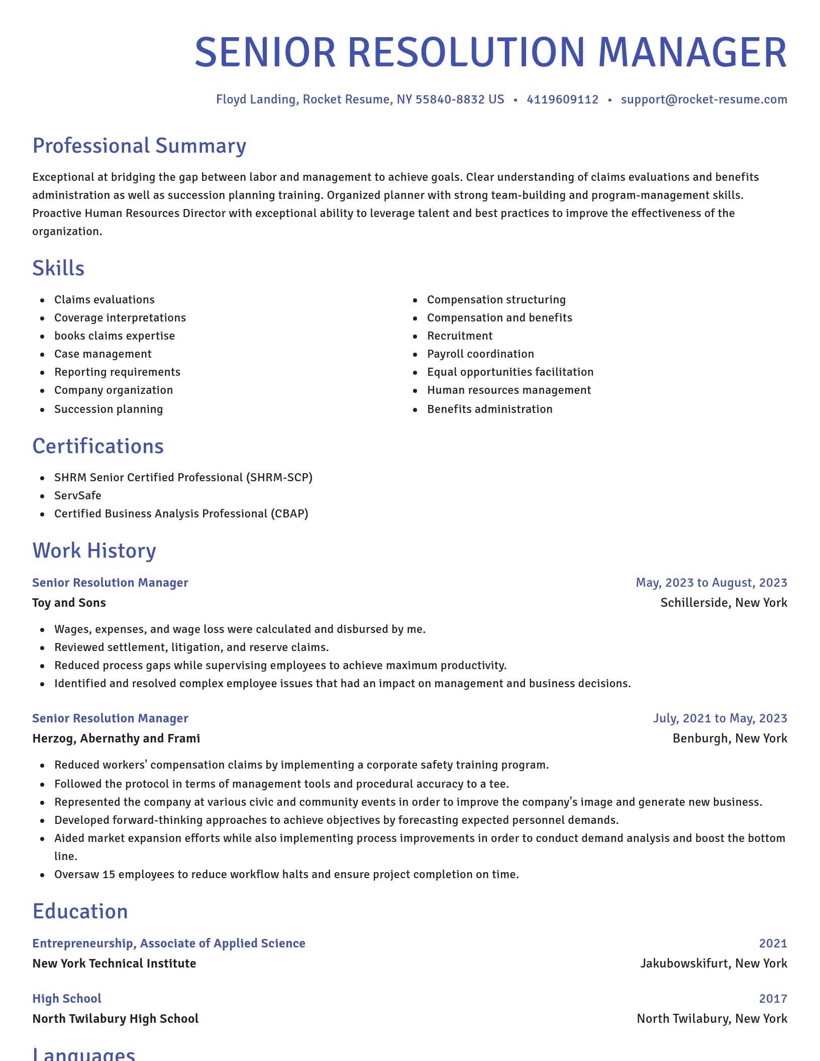 Novel resume template