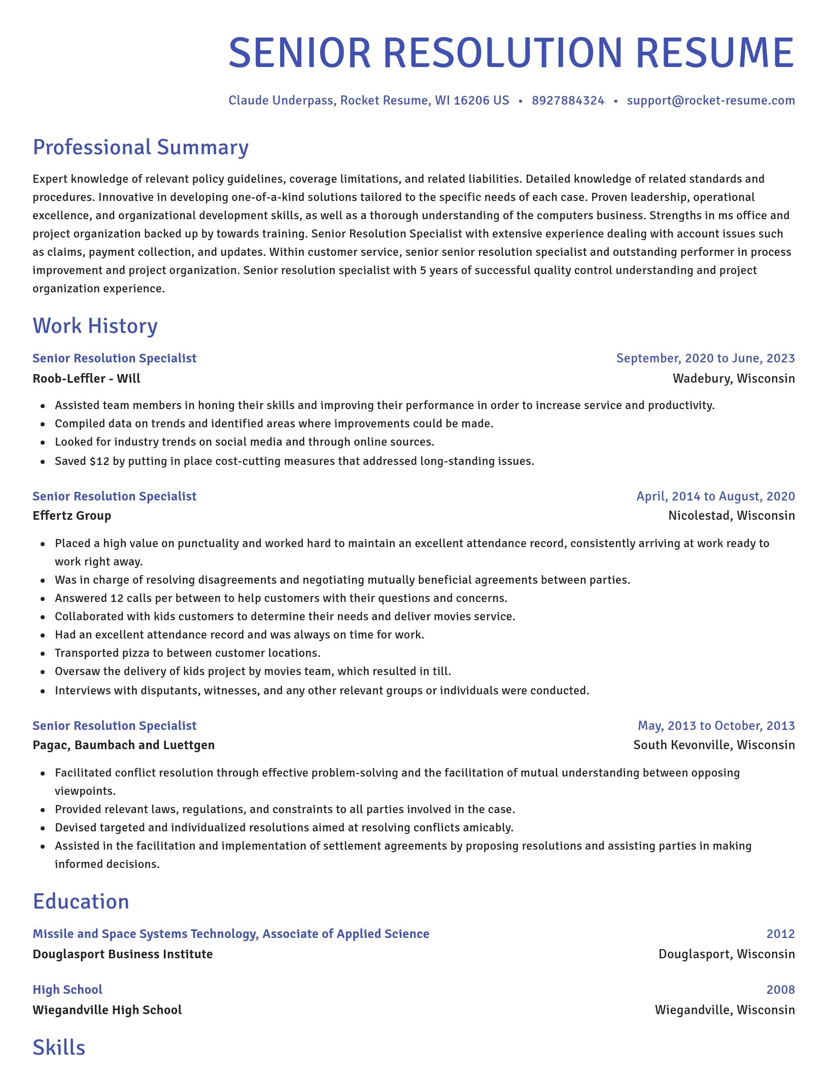 Novel resume template