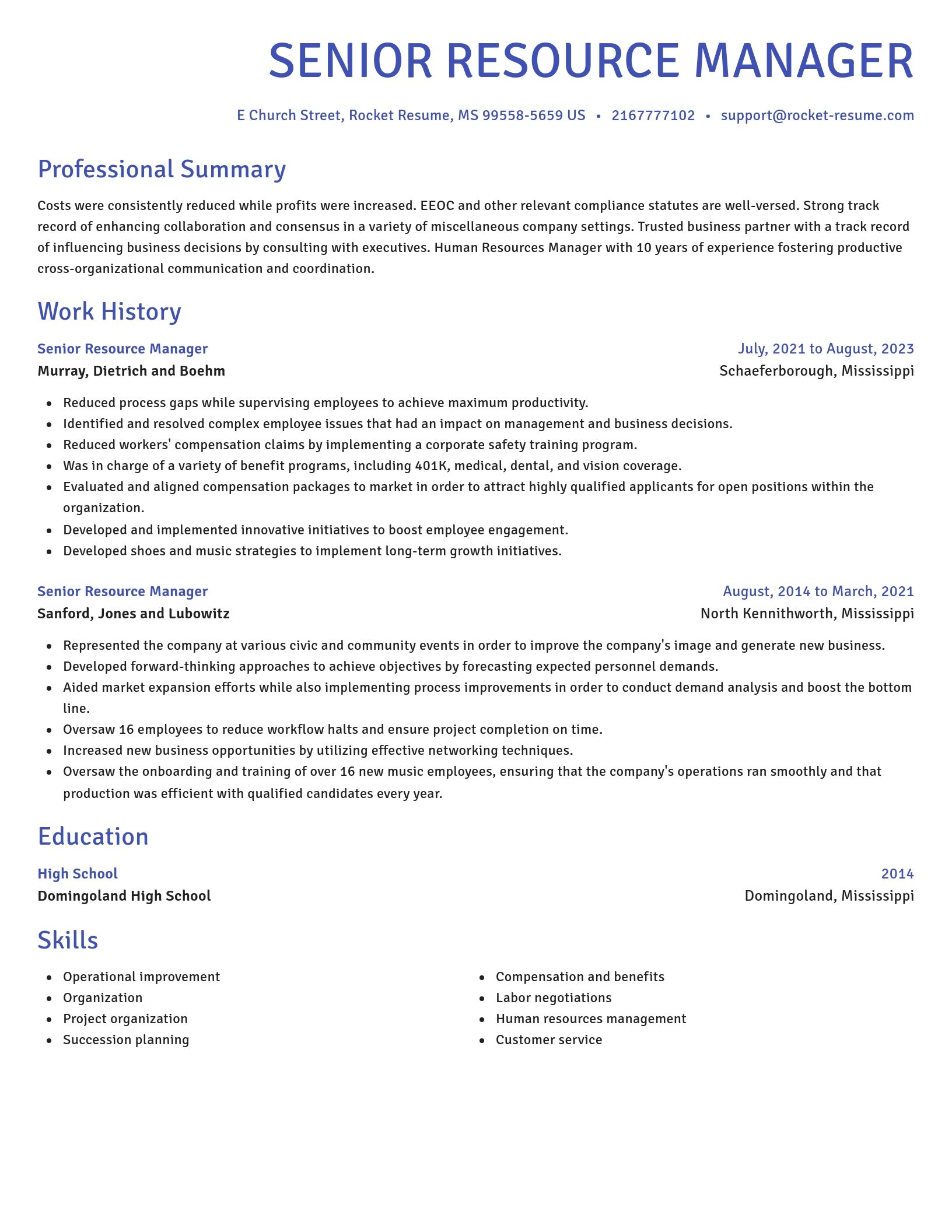 Novel resume template