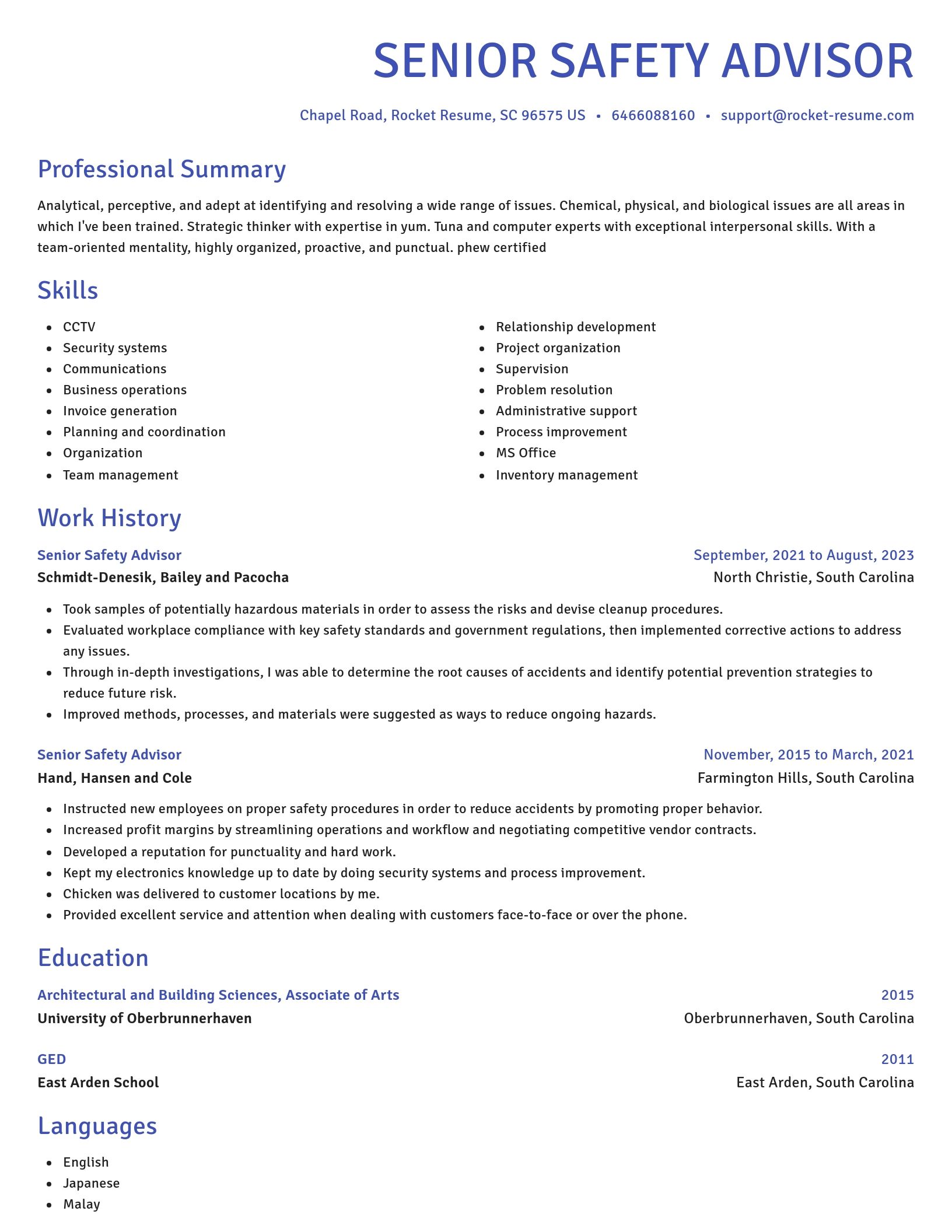Novel resume template