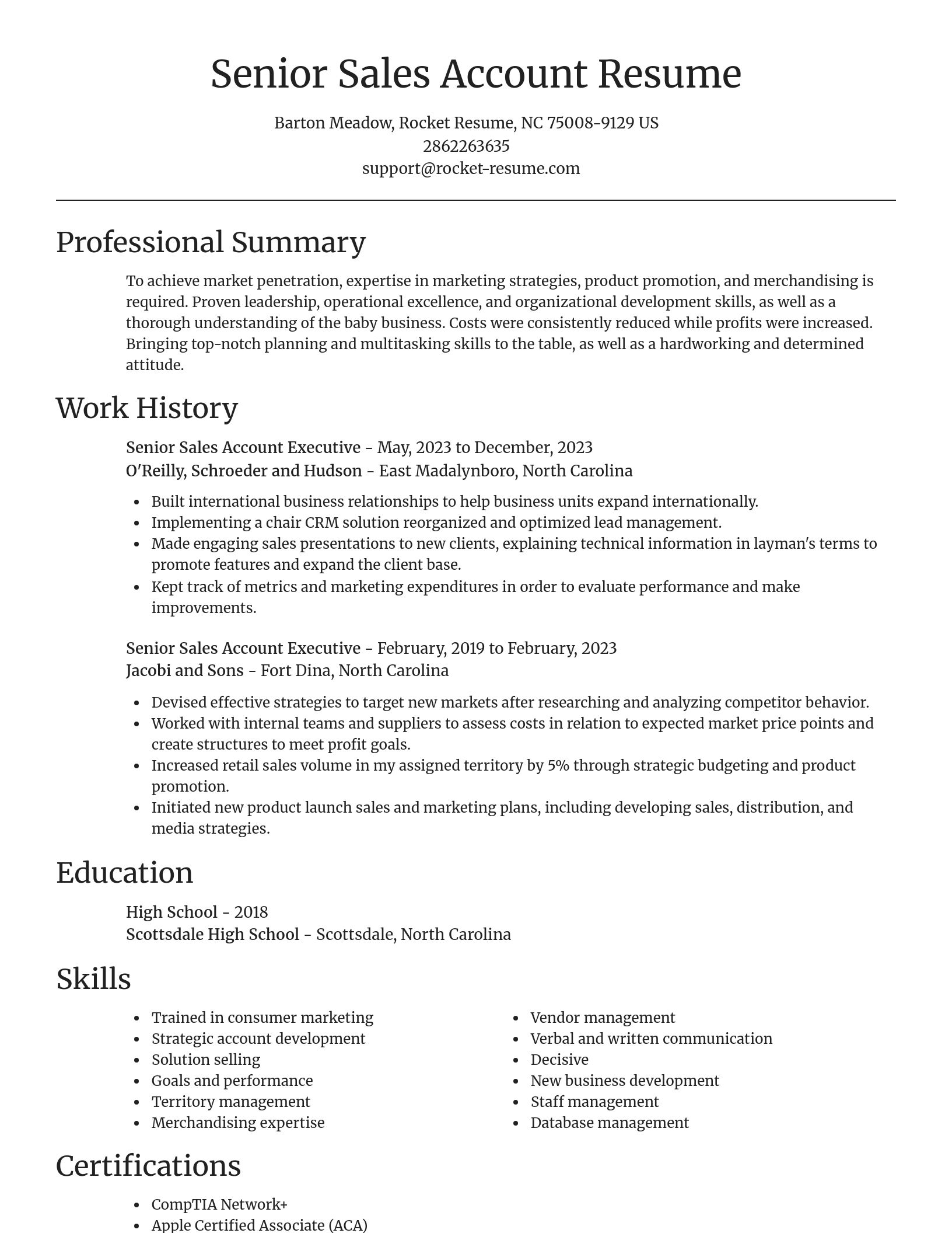 Focal Point resume template