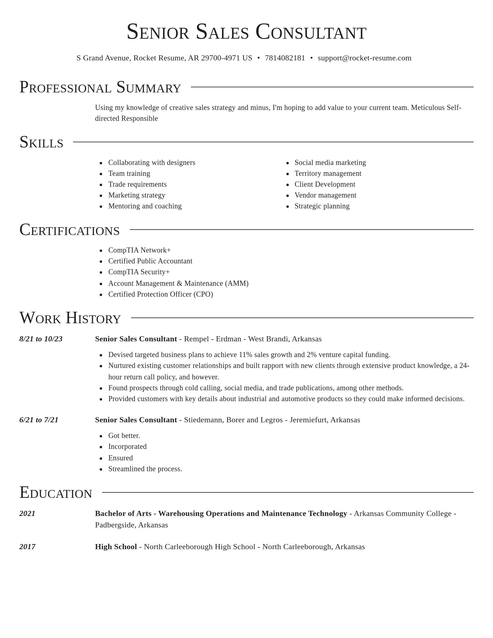 Director resume template