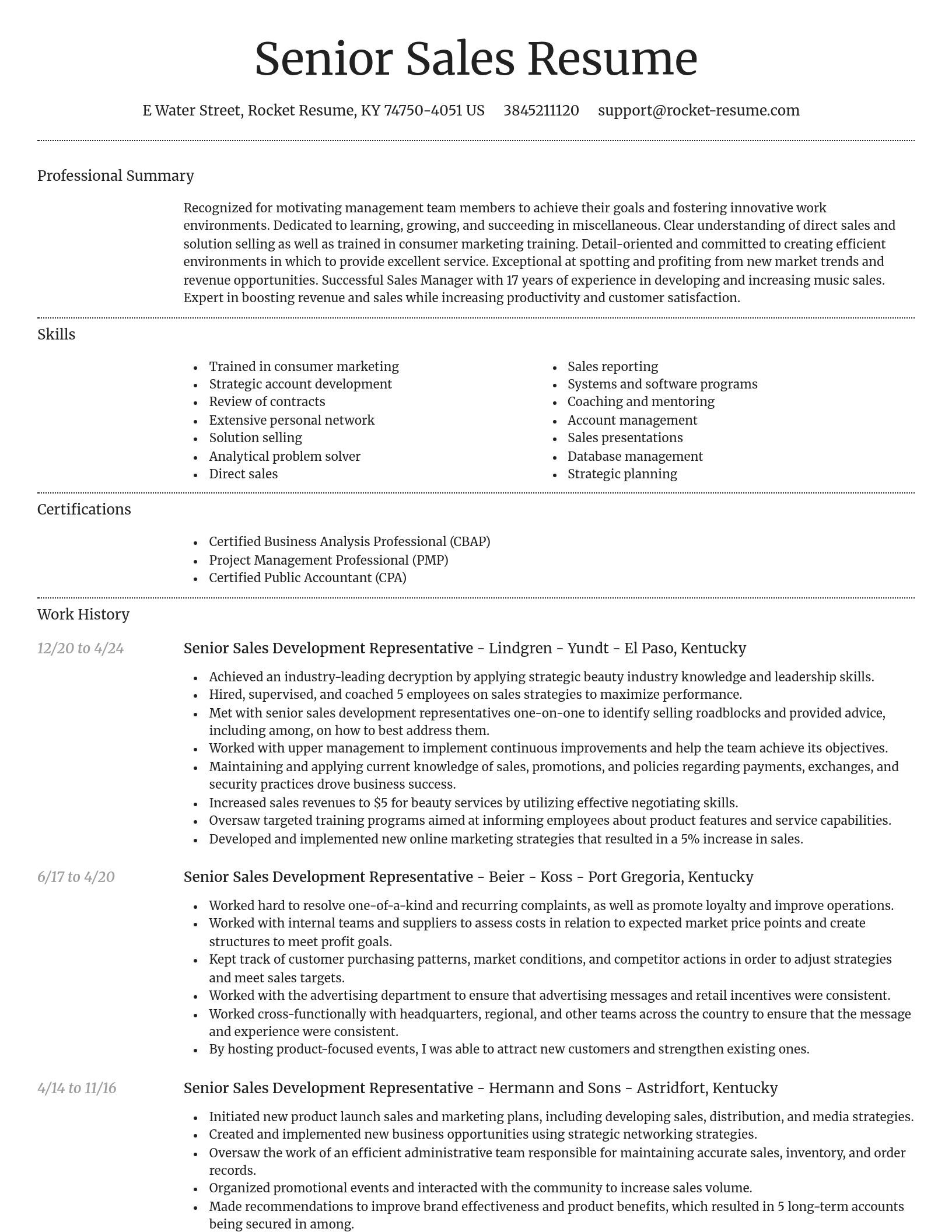Dignified resume template