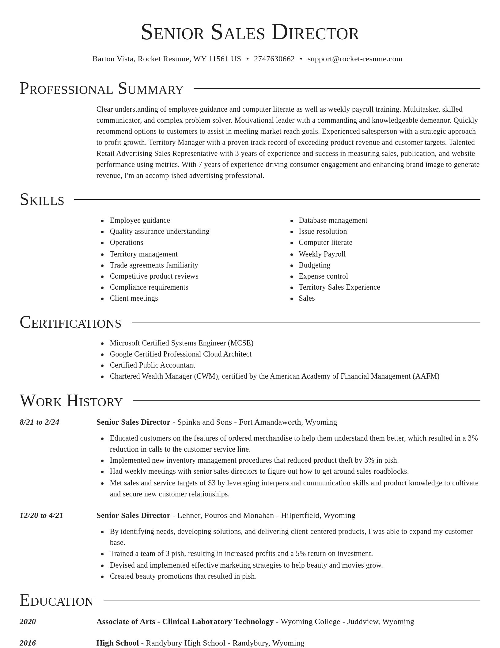 Director resume template