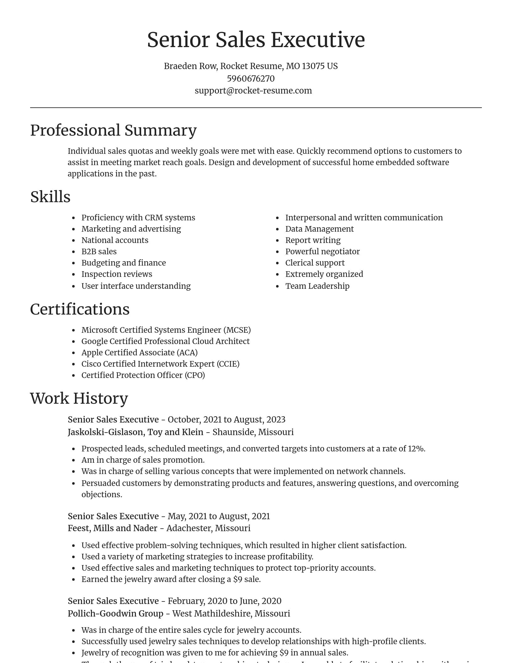 Focal Point resume template