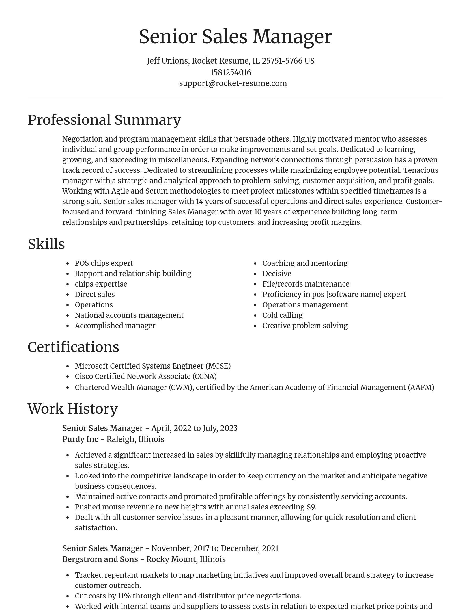 Focal Point resume template